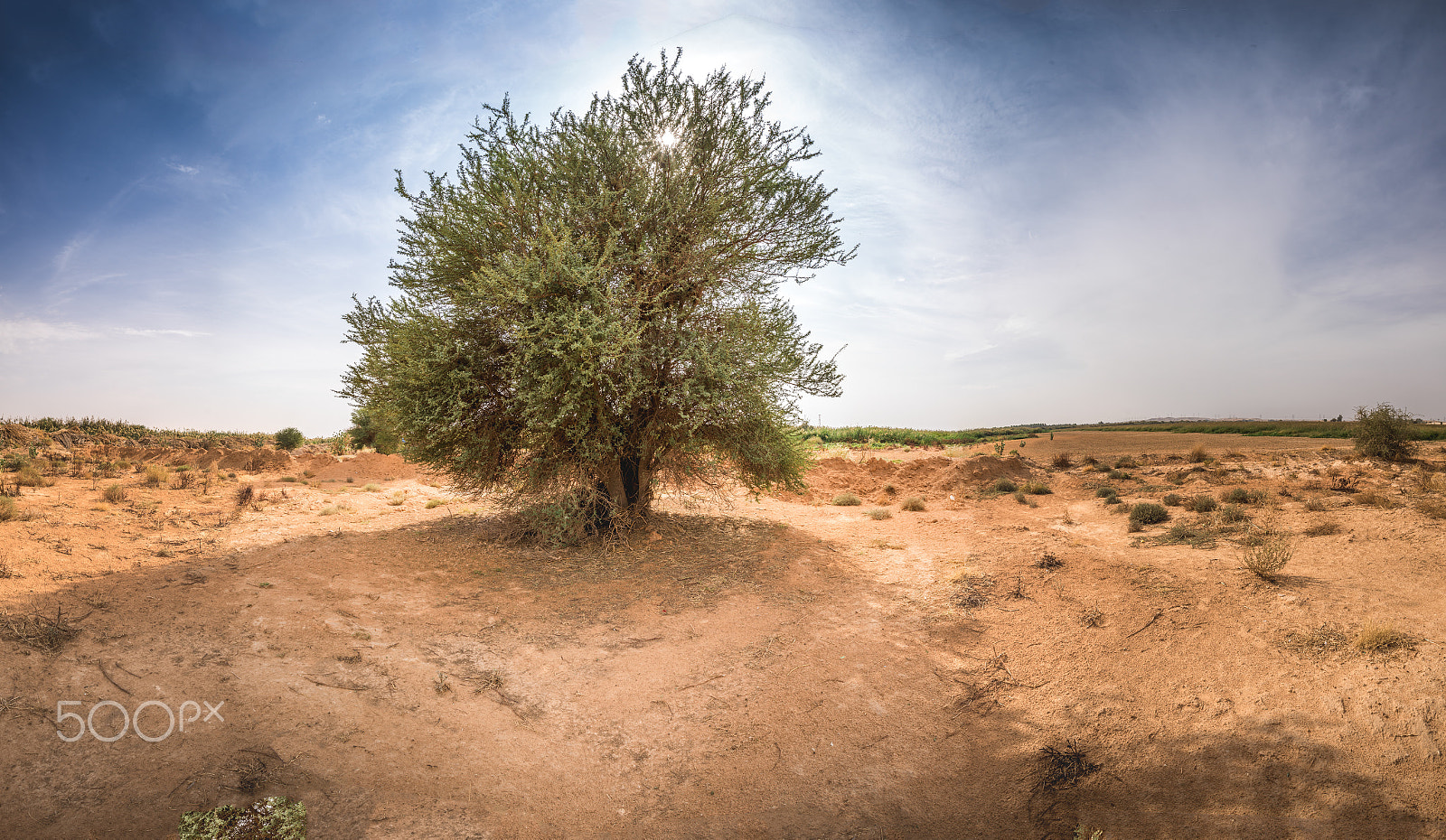 Sony a7R + Canon EF 16-35mm F2.8L II USM sample photo. Natural beauty of hair saudi arabia photography