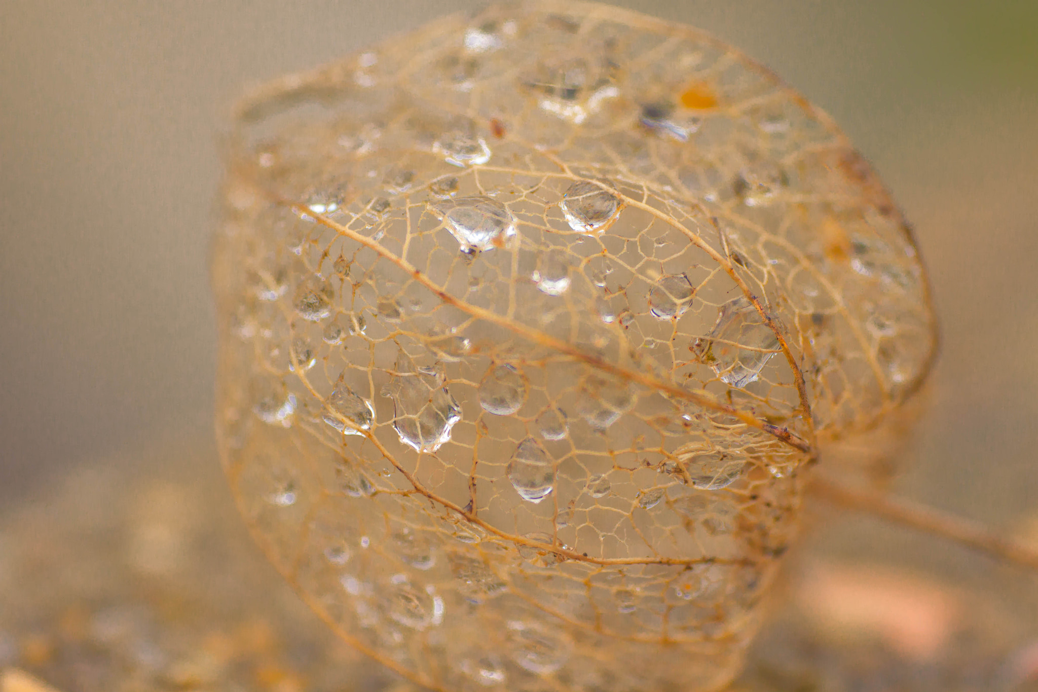 Canon EF 35-70mm f/3.5-4.5 sample photo. Diamonds photography