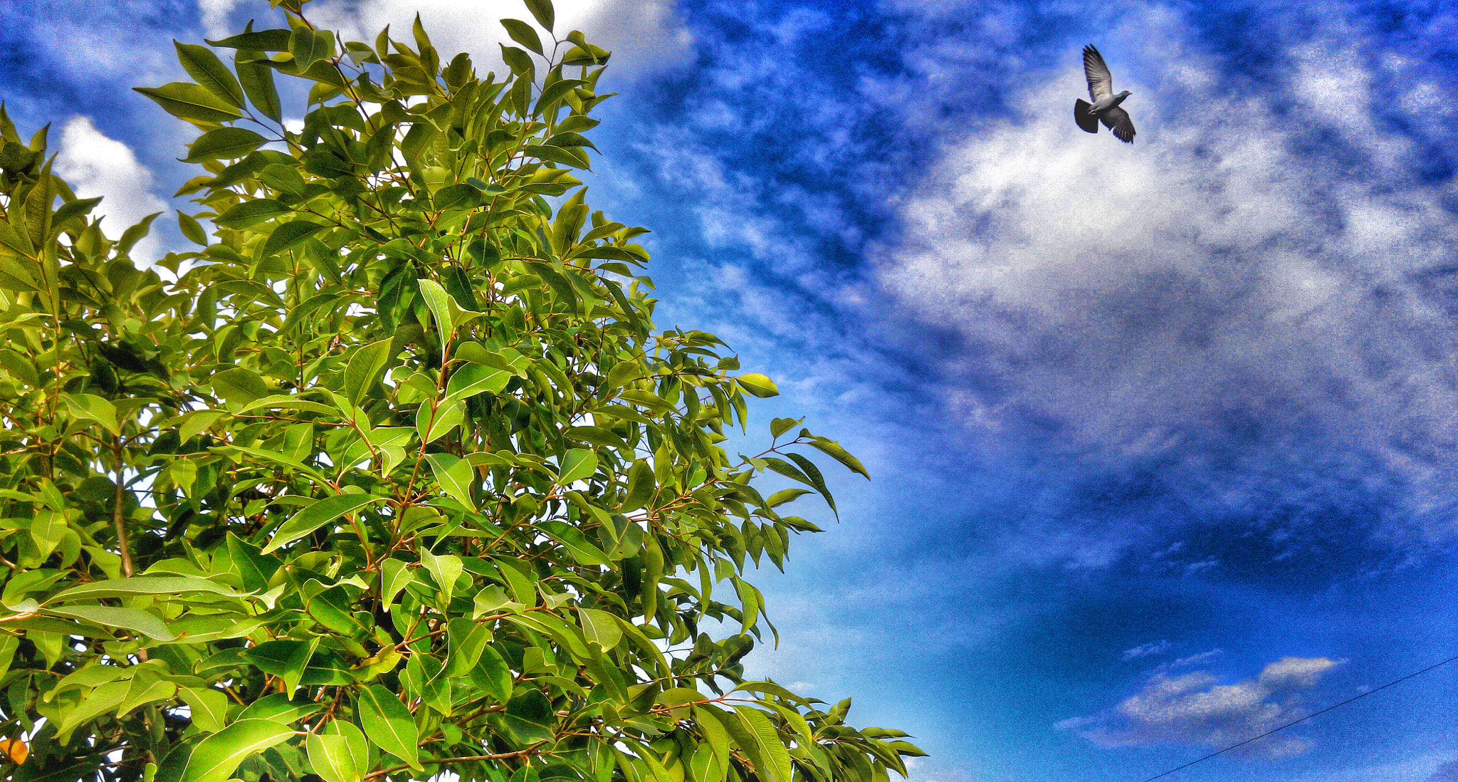 Xiaomi HM NOTE sample photo. Img_20160310_165658_2.jpg photography