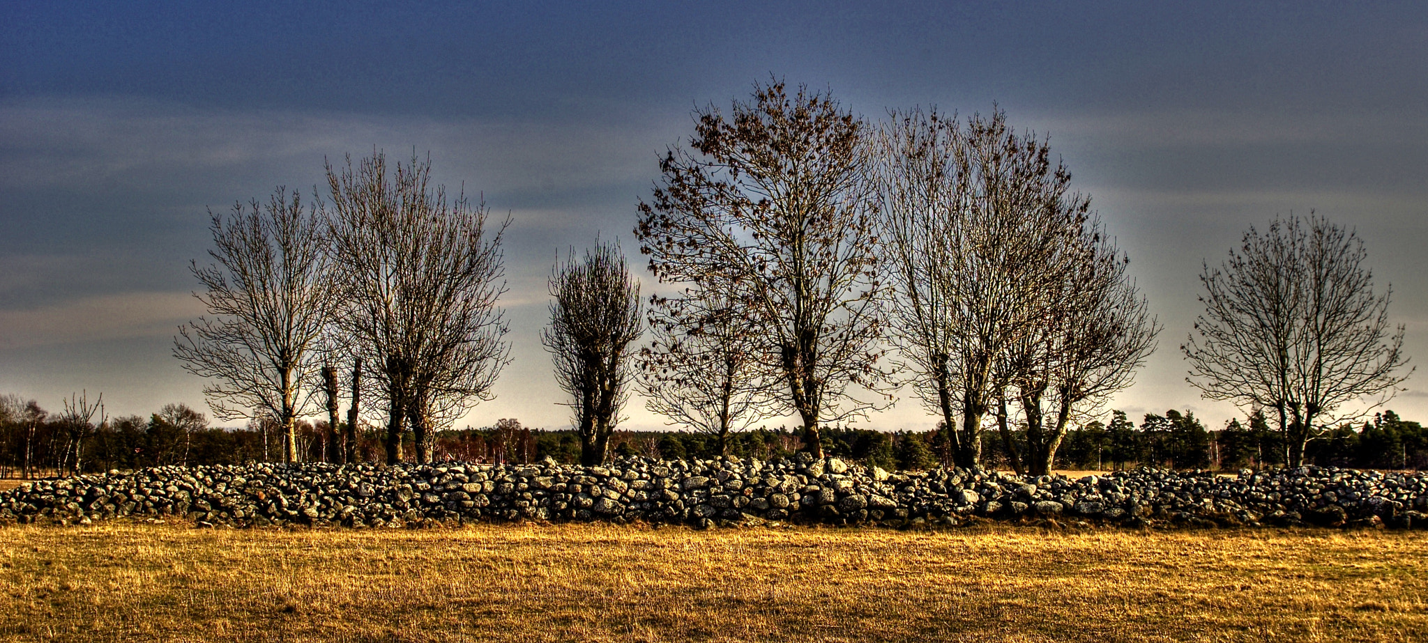 AF Zoom-Nikkor 28-105mm f/3.5-4.5D IF sample photo. Tonemapped photography