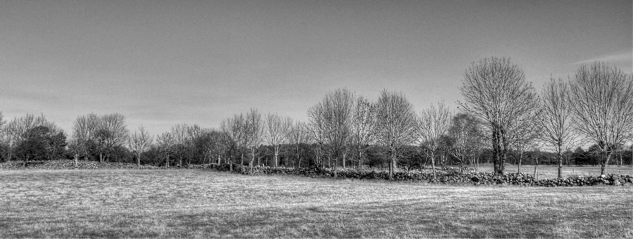 Nikon D2X sample photo. Tonemapped photography