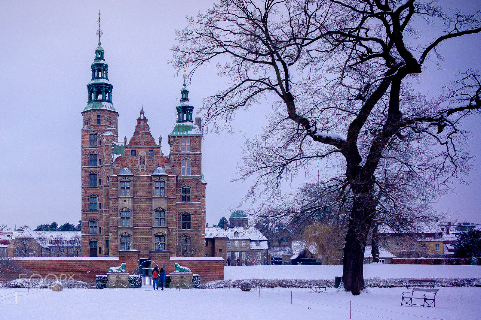 Sony Alpha NEX-7 + Sony E 20mm F2.8 sample photo. Rosenborg's tree photography