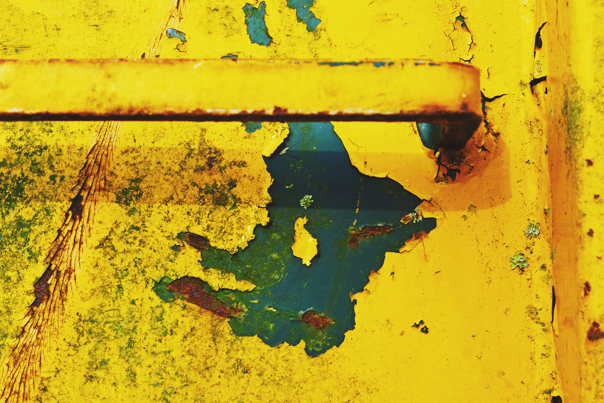 Sony ILCA-77M2 + Sony DT 50mm F1.8 SAM sample photo. Yellow decay photography