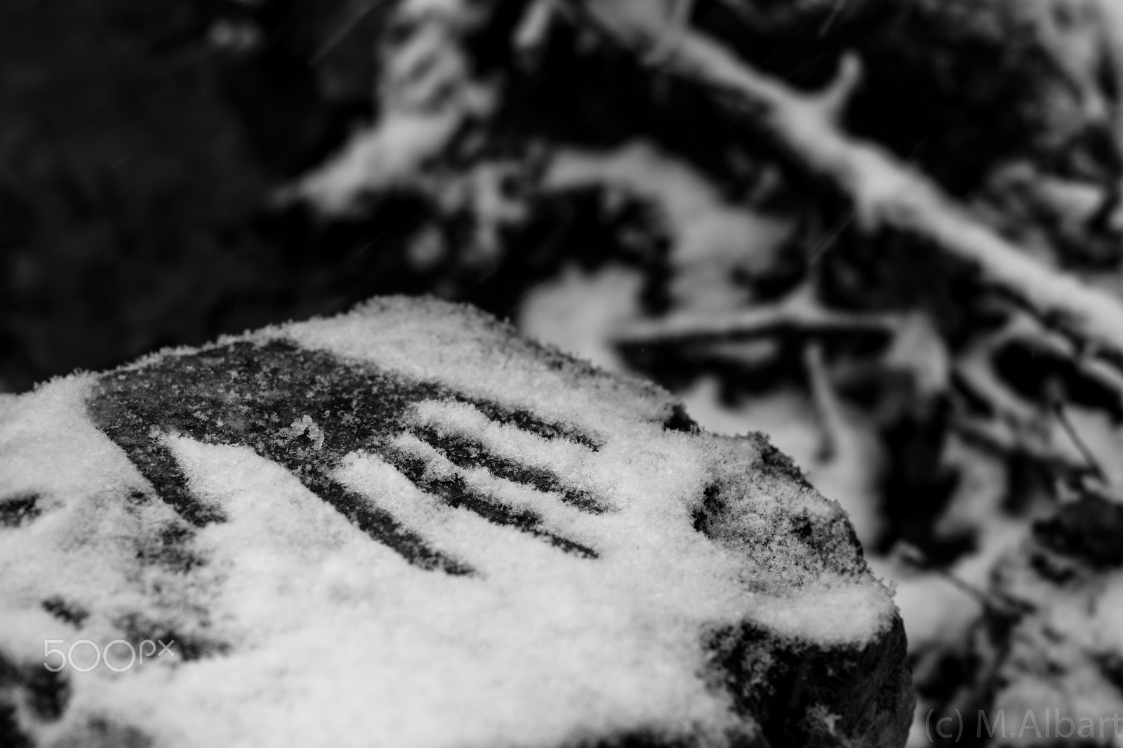 Canon EOS 600D (Rebel EOS T3i / EOS Kiss X5) + ZEISS Planar T* 50mm F1.4 sample photo. Handprint in snow photography