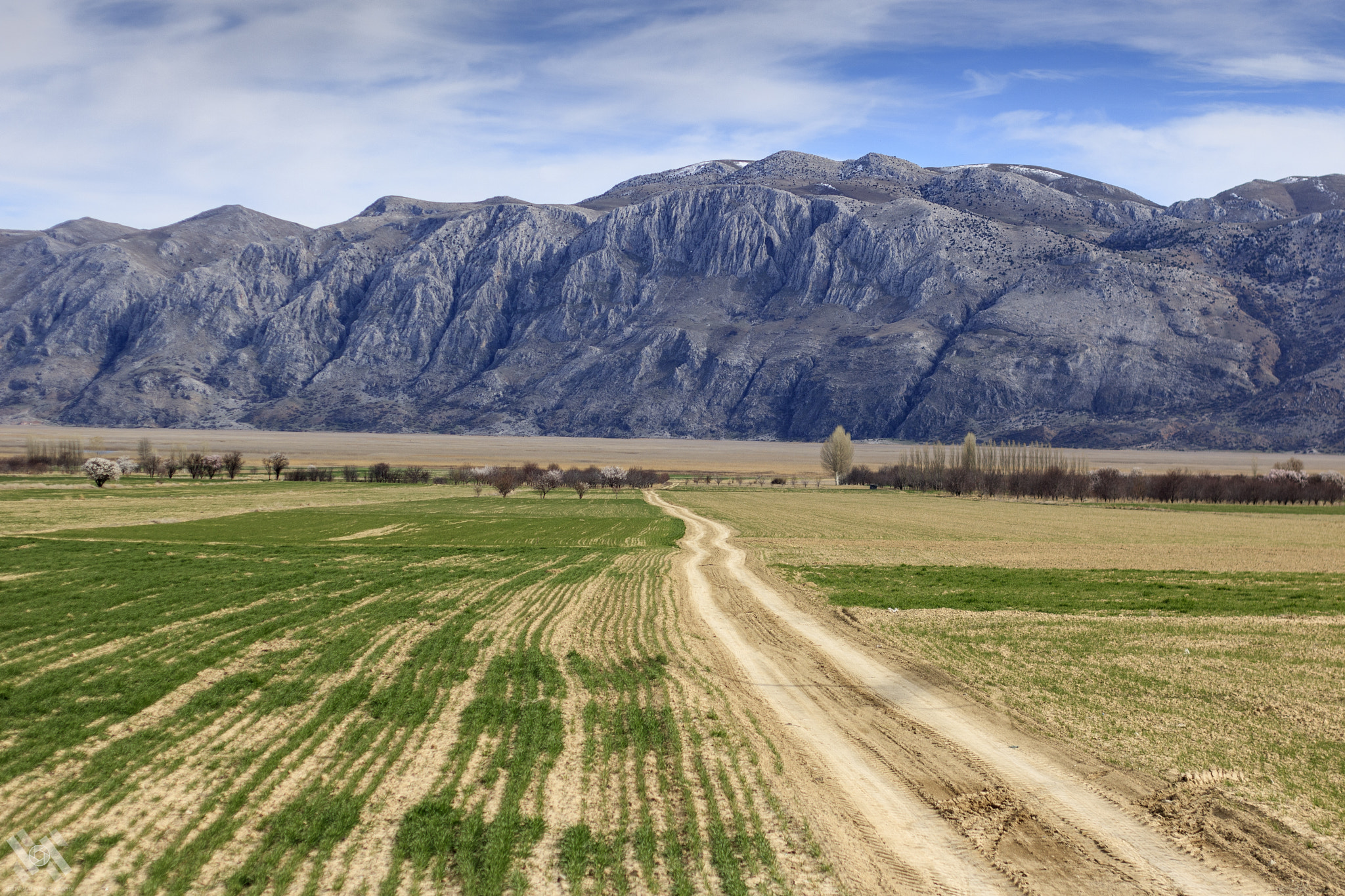 Canon EOS 760D (EOS Rebel T6s / EOS 8000D) + Canon EF 50mm F1.8 II sample photo. Road photography