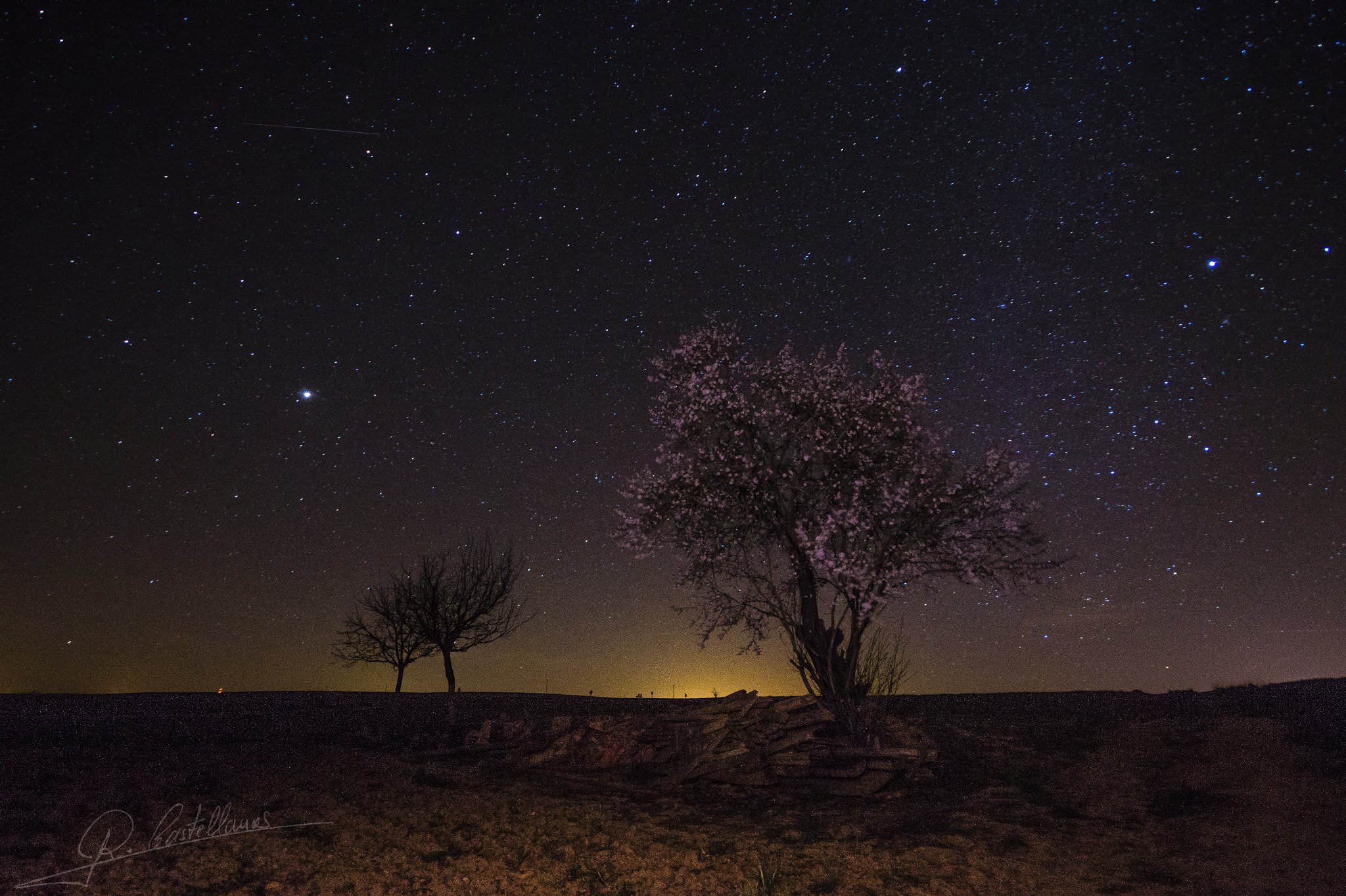 Sigma AF 10-20mm F4-5.6 EX DC sample photo. Nocturna... photography