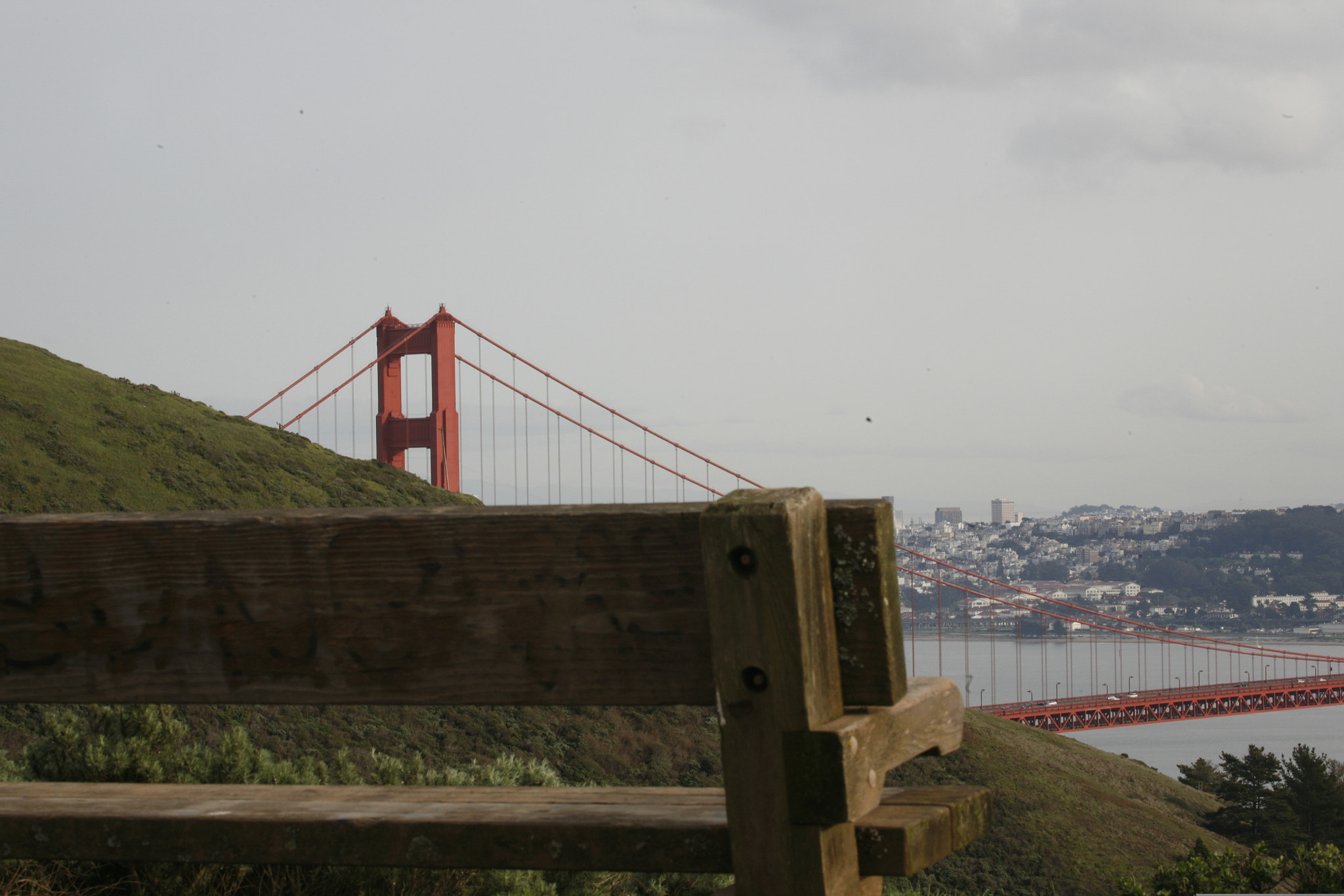 Canon EF 100-400mm F4.5-5.6L IS USM sample photo. Ggb photography