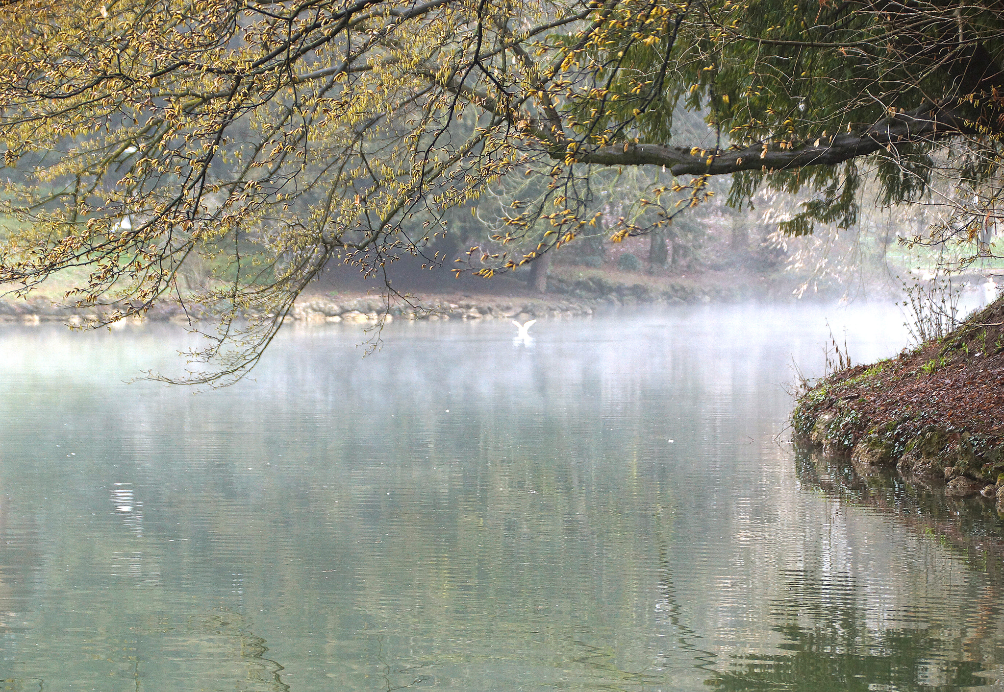 Sony SLT-A77 + DT 18-300mm F3.5-6.3 sample photo. Morning spring photography