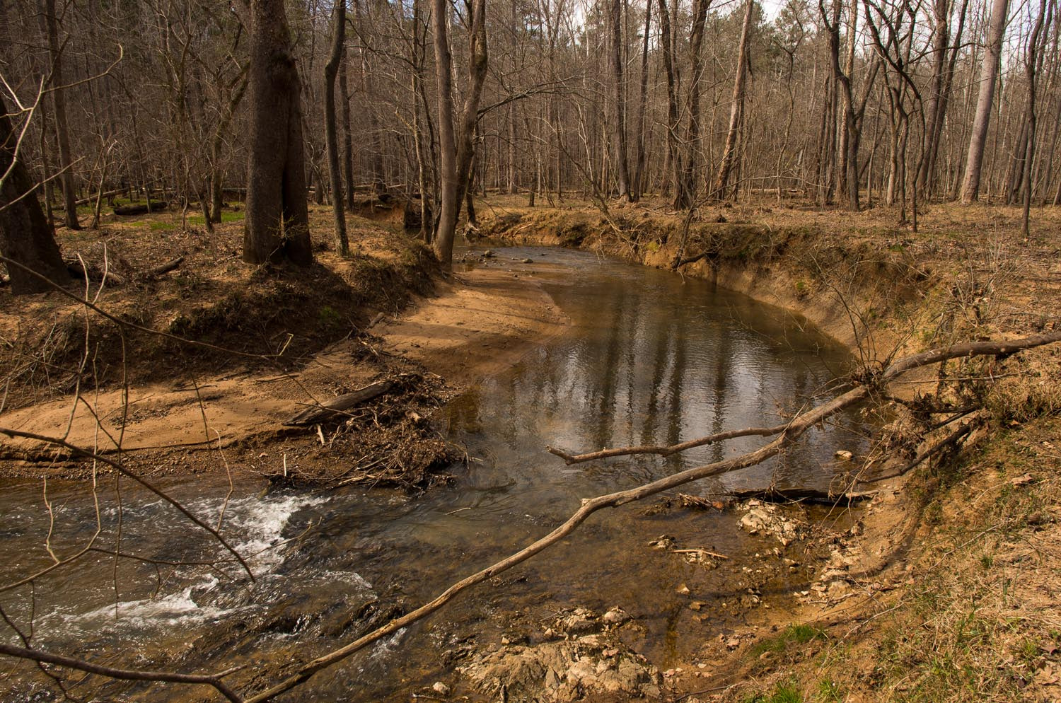 HD Pentax DA 15mm F4 ED AL Limited sample photo. Buckquarter creek photography