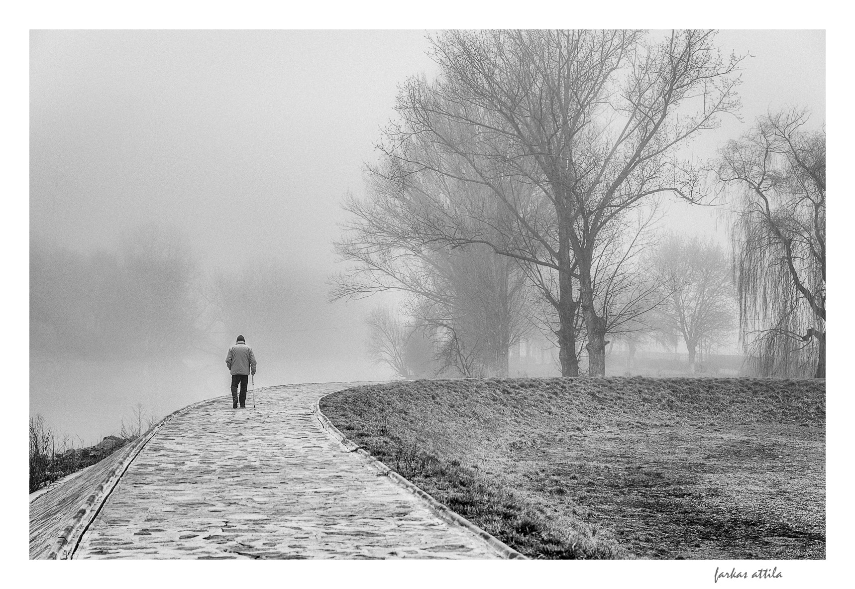 Nikon D60 sample photo. The walk photography