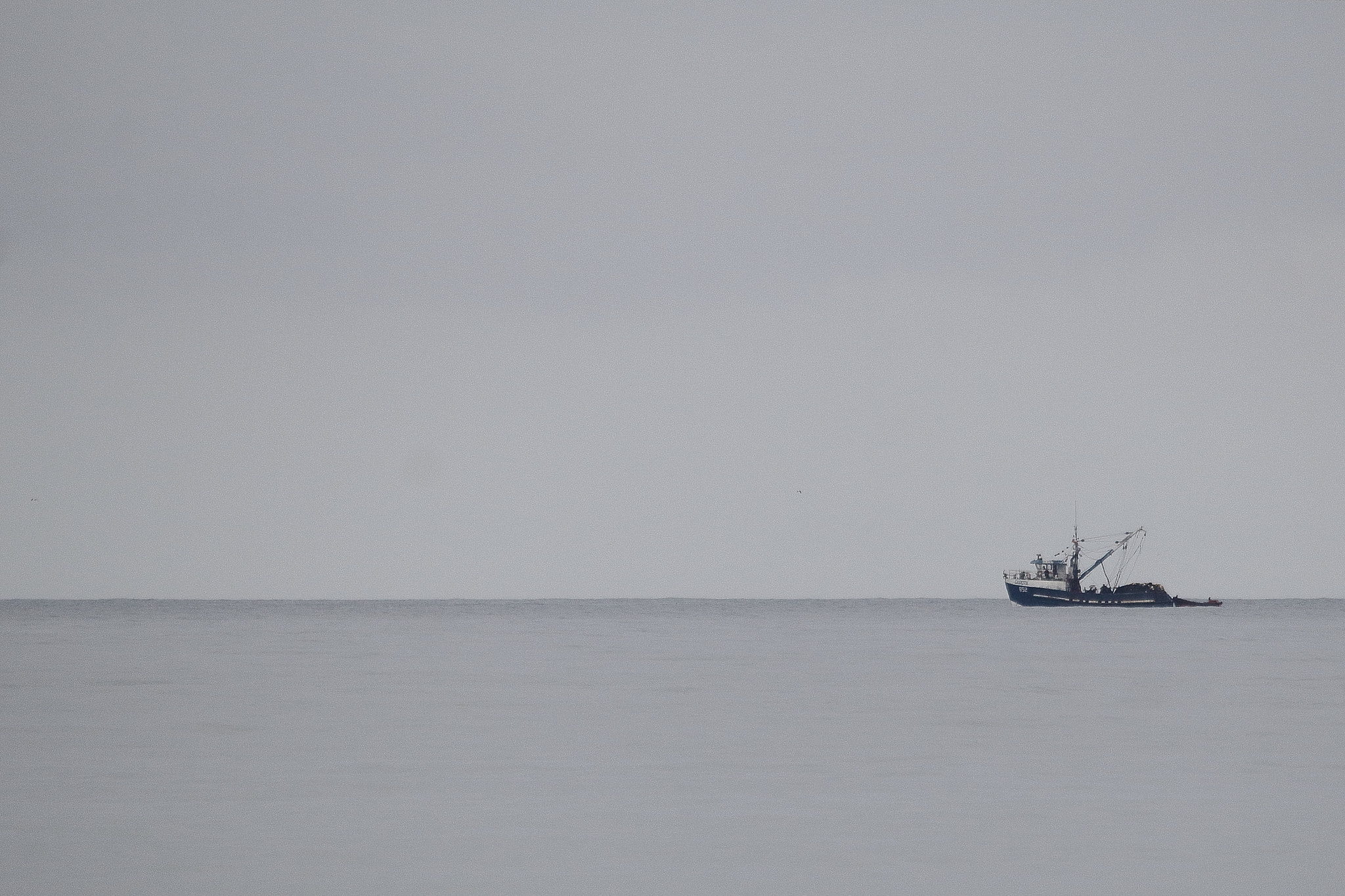 Sigma 150-500mm F5-6.3 DG OS HSM sample photo