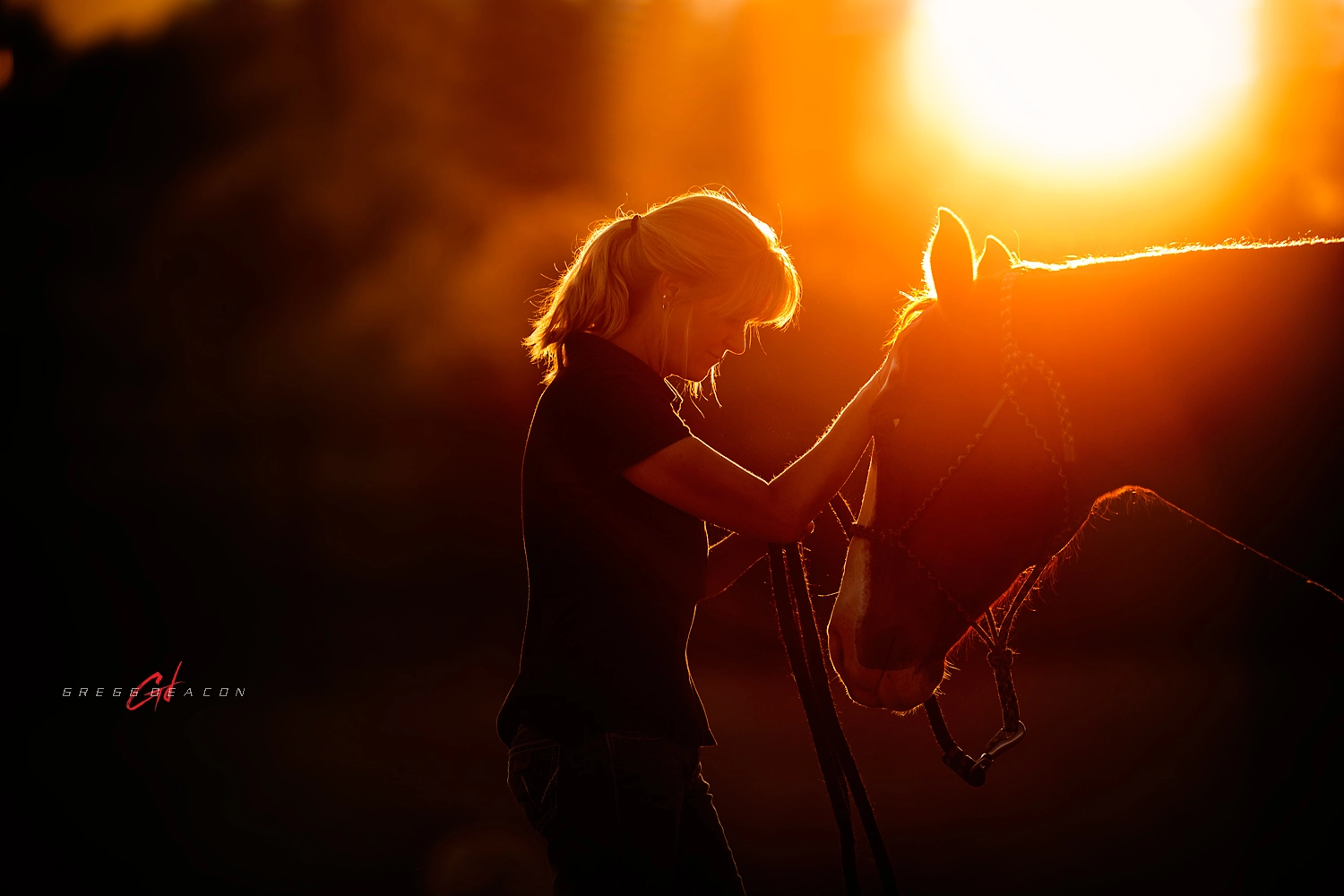 Canon EOS 5DS R + Canon EF 200mm F2L IS USM sample photo. Best friends photography