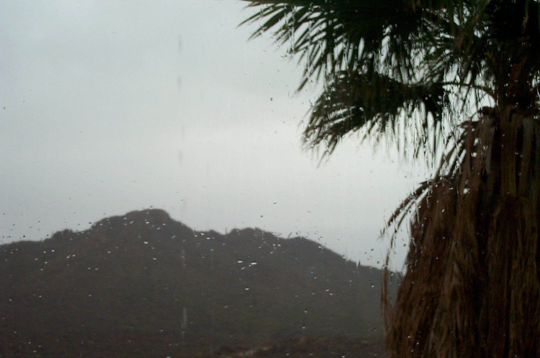 Kodak DC280 ZOOM DIGITAL CAMERA sample photo. Rainy day in tucson photography