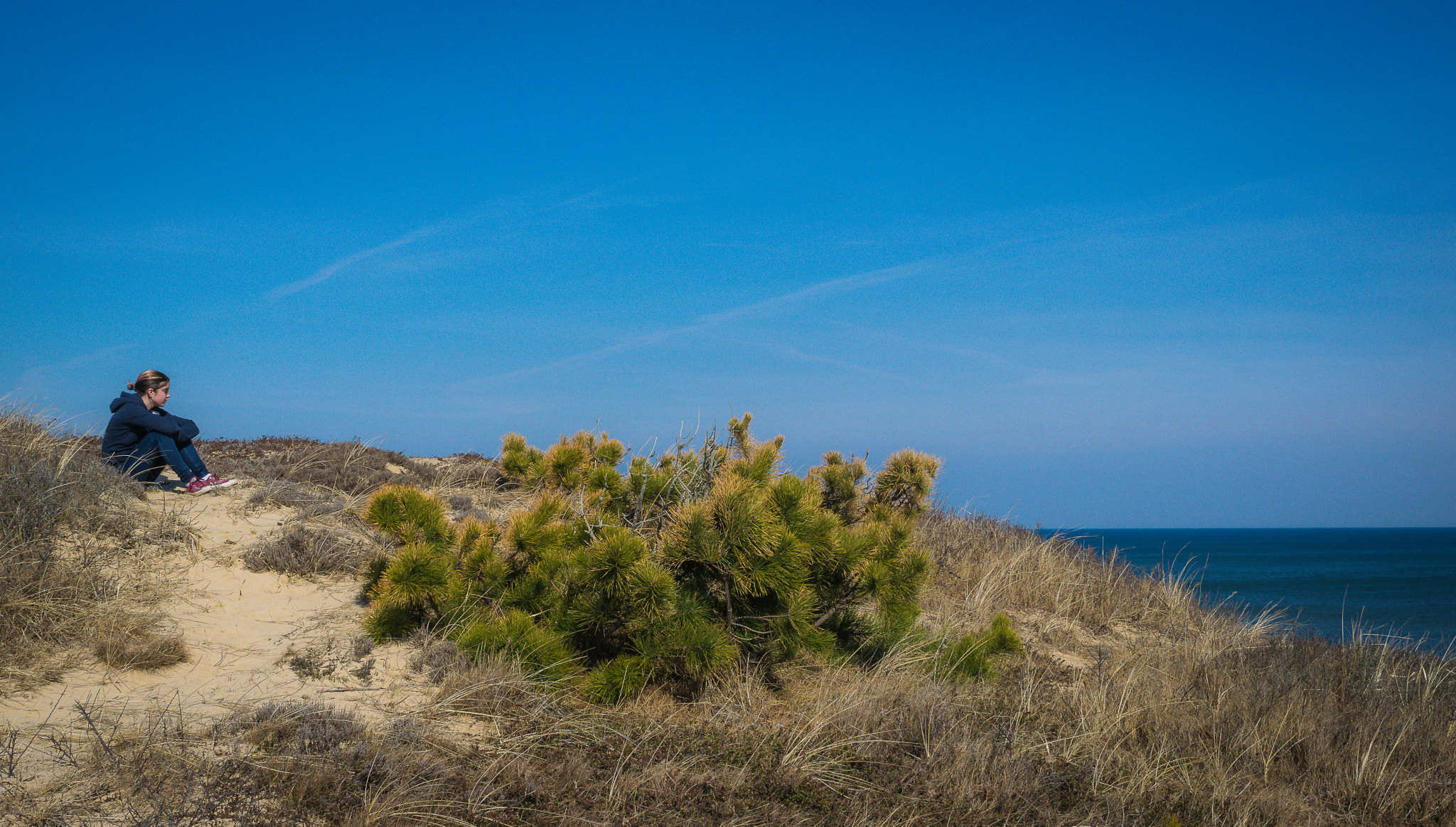 Nikon AF-S Nikkor 28-70mm F2.8 ED-IF sample photo. Looking out over the cliffs of the national seasho photography