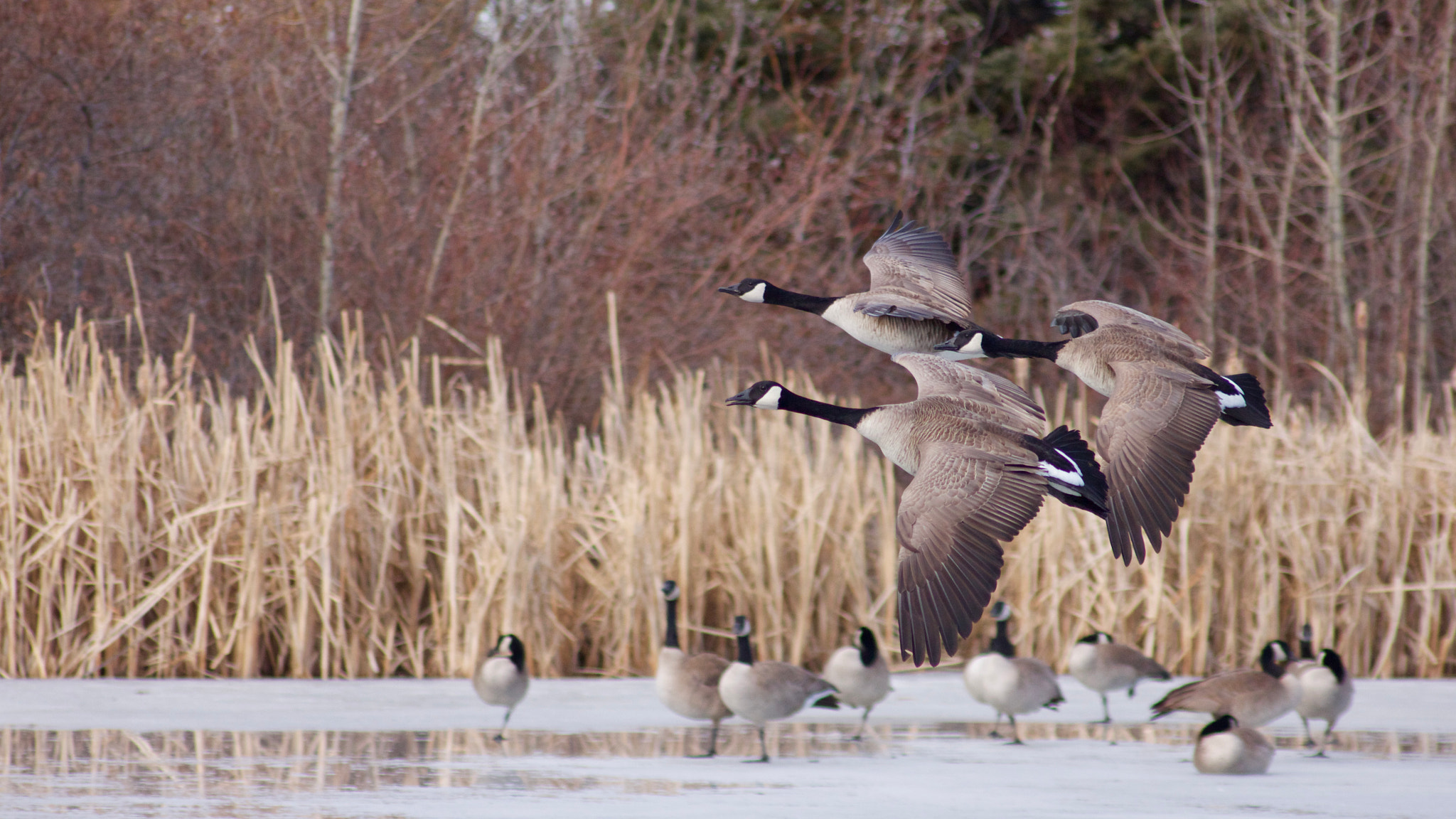 Sigma 70-300mm F4-5.6 APO DG Macro sample photo. Formation photography