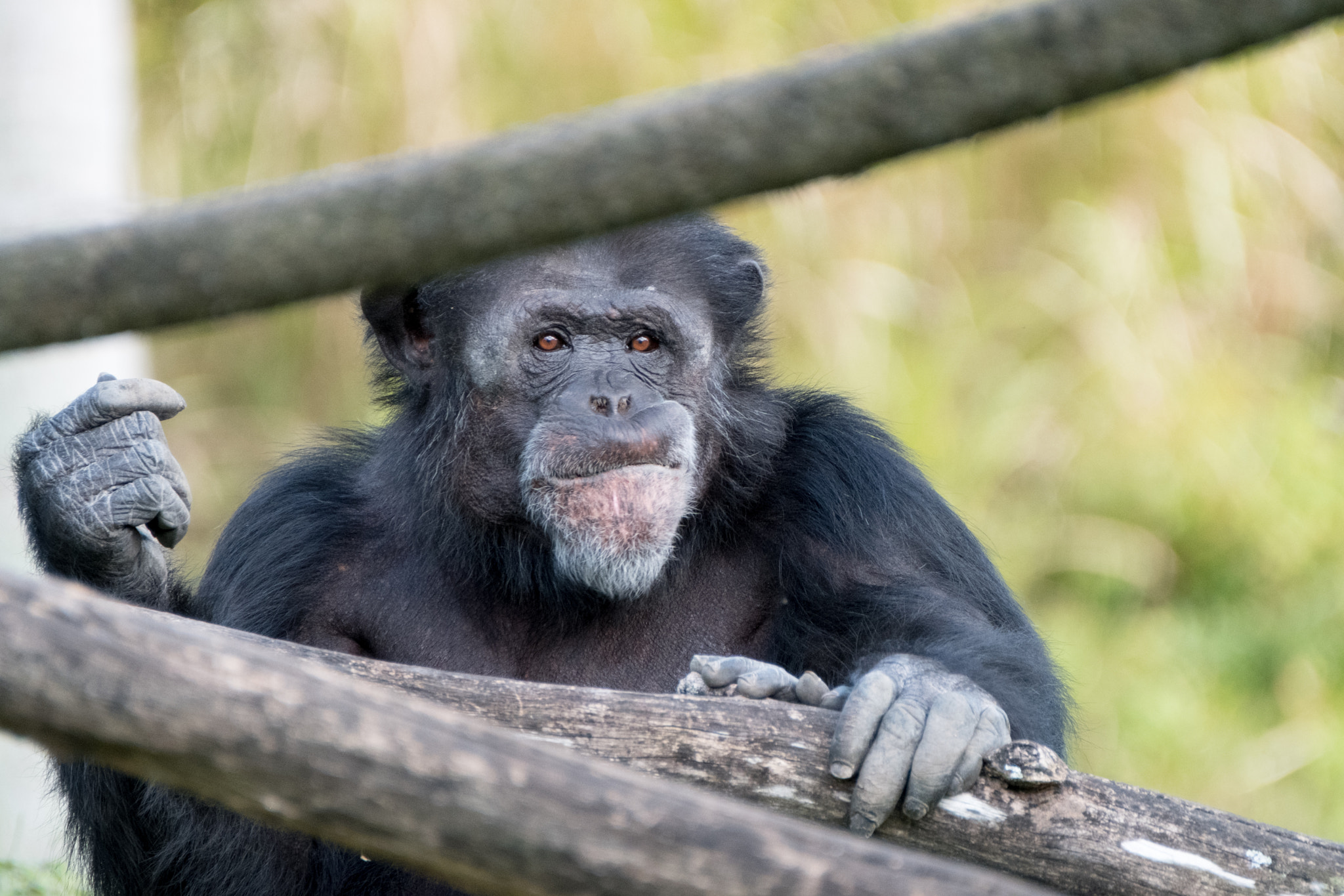 XF100-400mmF4.5-5.6 R LM OIS WR + 1.4x sample photo. _dsf0507.jpg photography