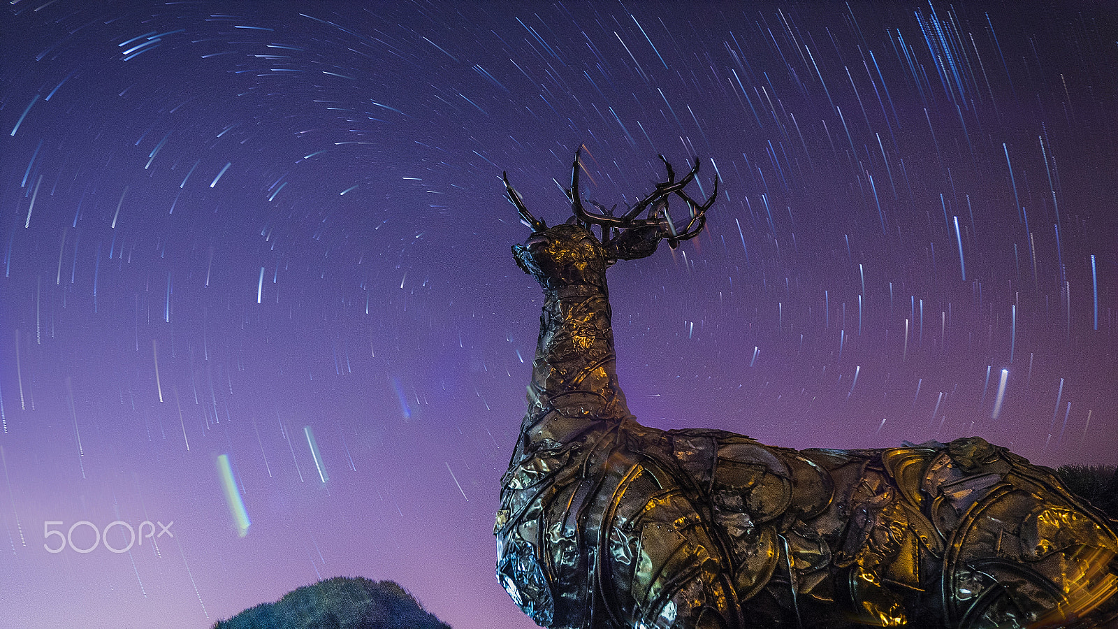 Panasonic Lumix G Vario 7-14mm F4 ASPH sample photo. Star reindeer photography