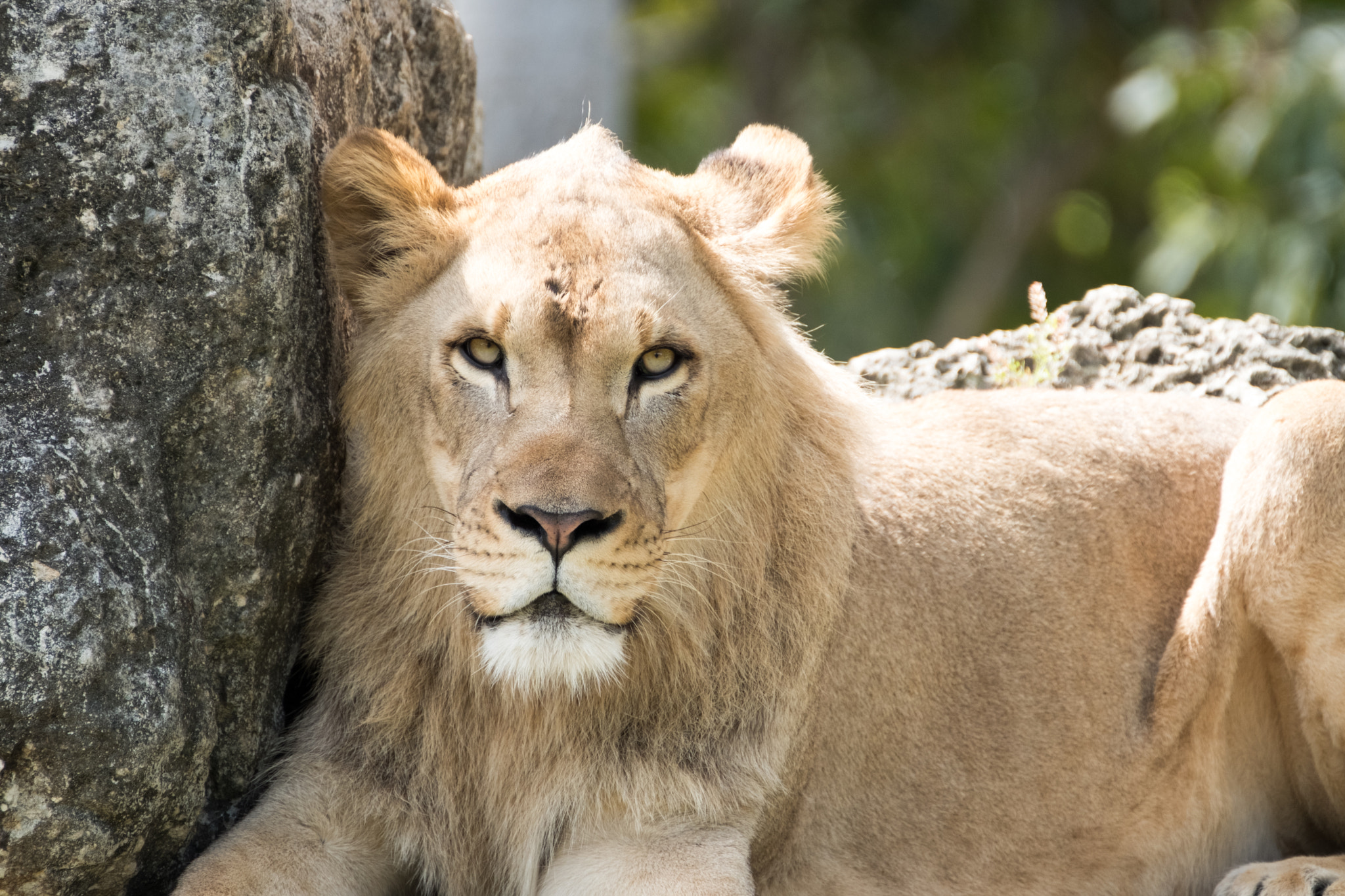XF100-400mmF4.5-5.6 R LM OIS WR + 1.4x sample photo. _dsf0469.jpg photography