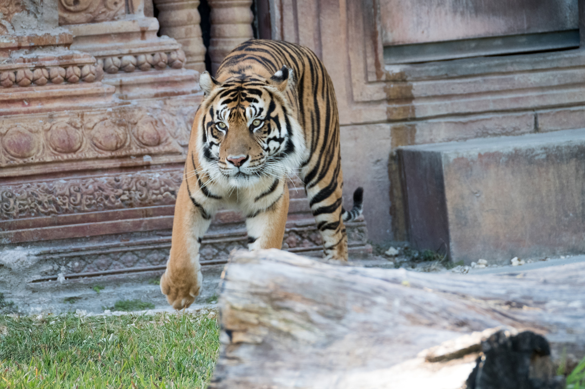XF100-400mmF4.5-5.6 R LM OIS WR + 1.4x sample photo. _dsf0657.jpg photography