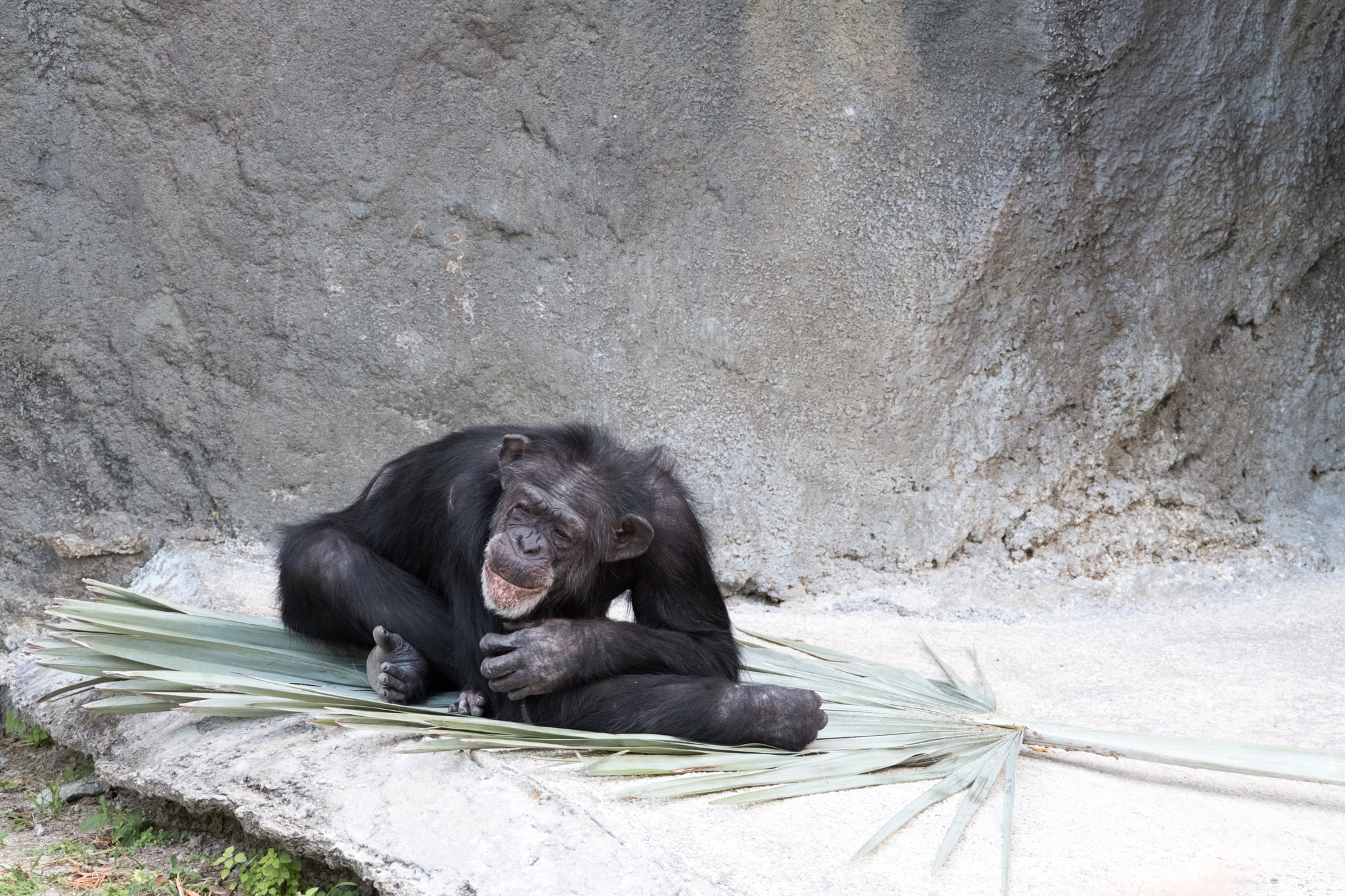 XF100-400mmF4.5-5.6 R LM OIS WR + 1.4x sample photo. _dsf0509.jpg photography