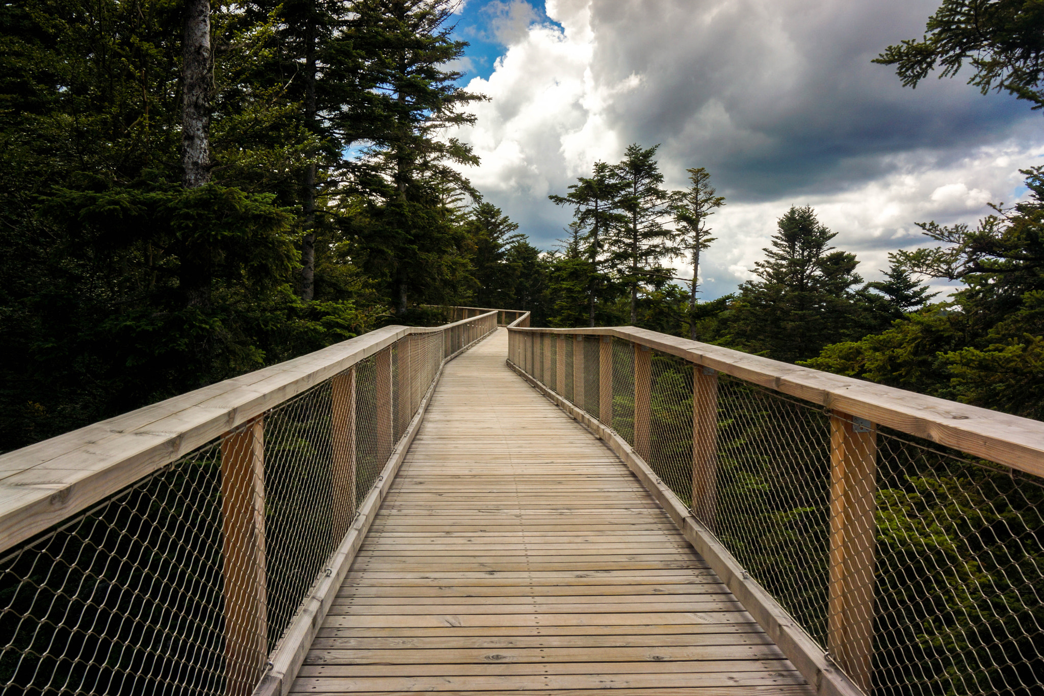 Sony Alpha NEX-7 sample photo. Walkway in bad wildbad, germany photography