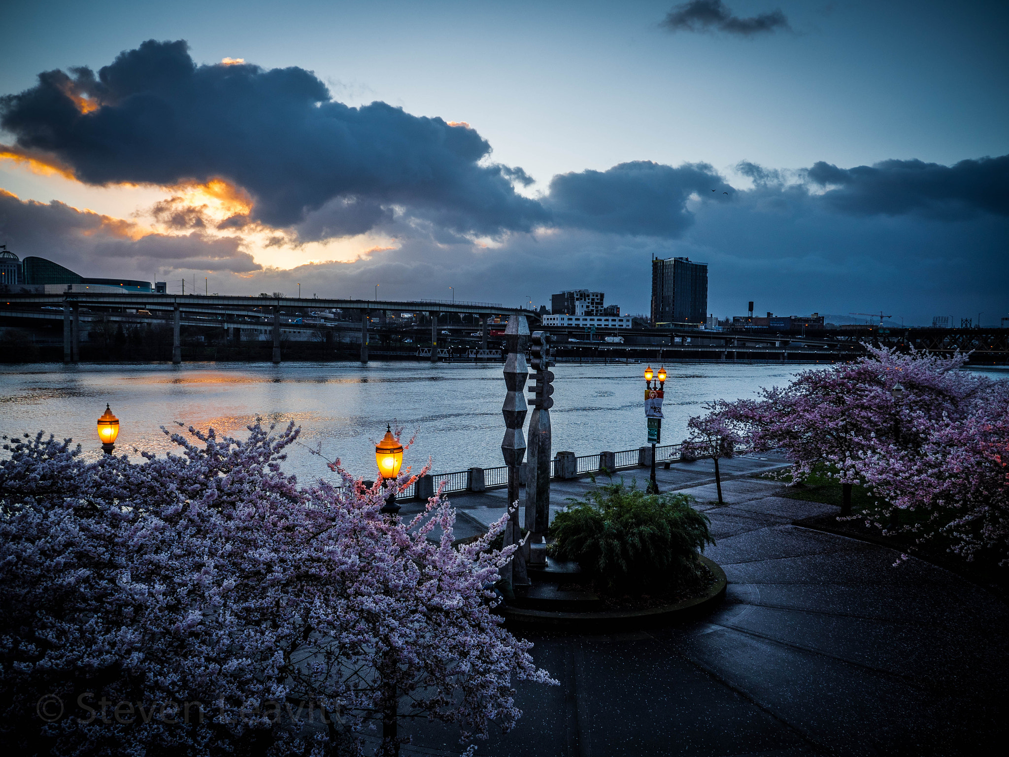 Panasonic Lumix DMC-GX8 sample photo. Downtown portland hoping to see the sunrise color. photography