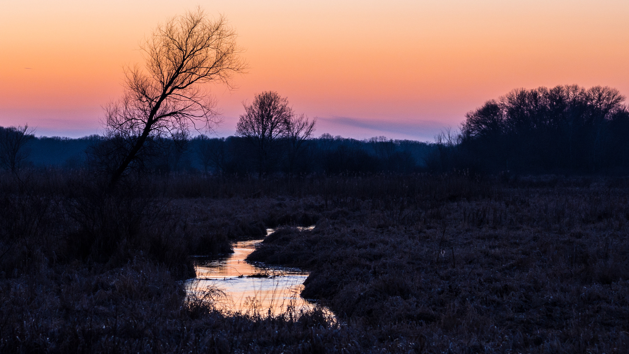 Olympus PEN E-PL6 + Sigma 60mm F2.8 DN Art sample photo. Trott brook sunset photography