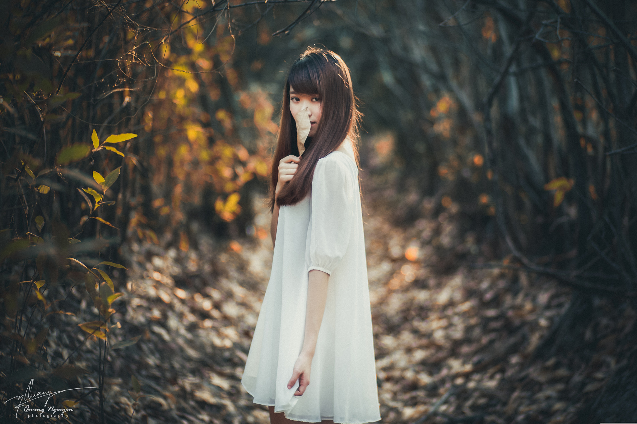 Canon EOS-1D Mark III sample photo. Untitled photography