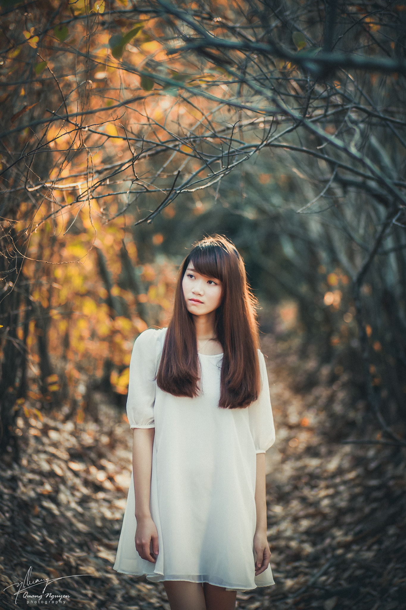 Canon EOS-1D Mark III sample photo. Untitled photography