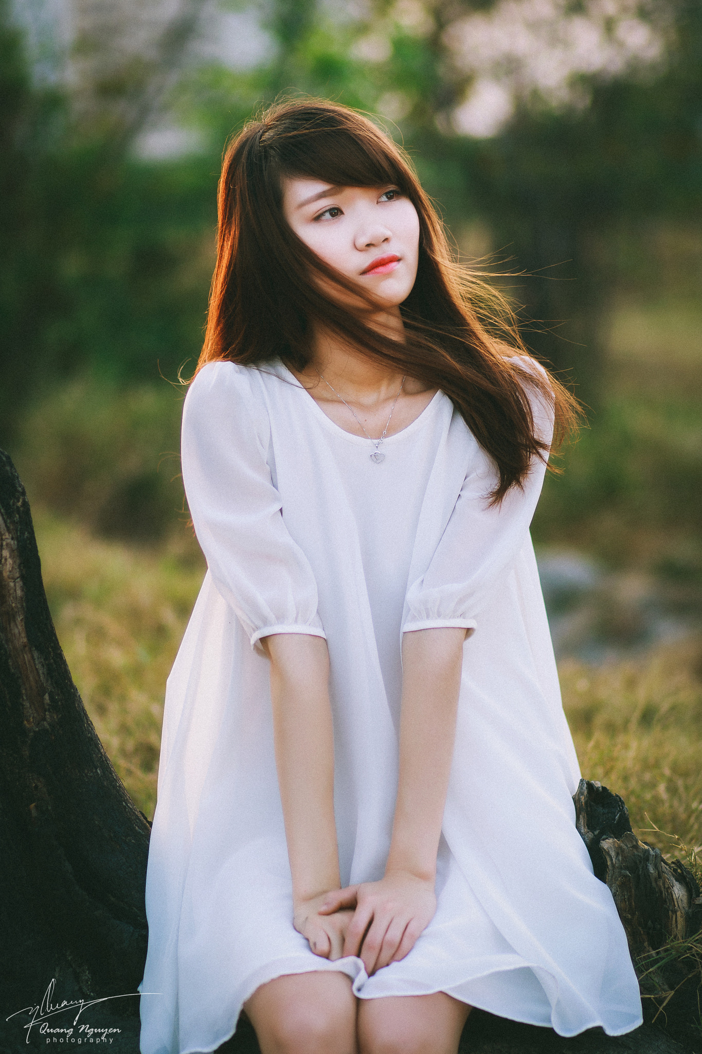 Canon EOS-1D Mark III sample photo. Untitled photography