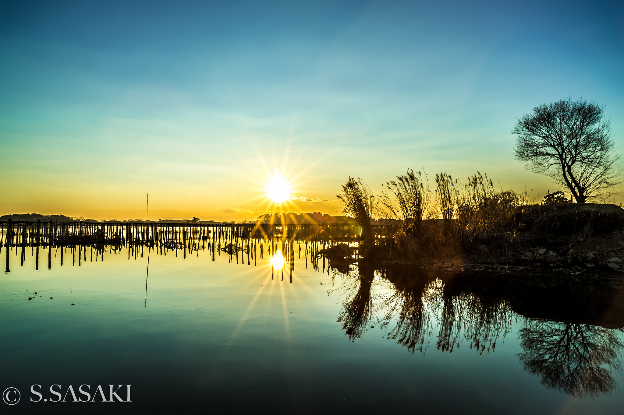 Nikon Df sample photo. Mirror photography