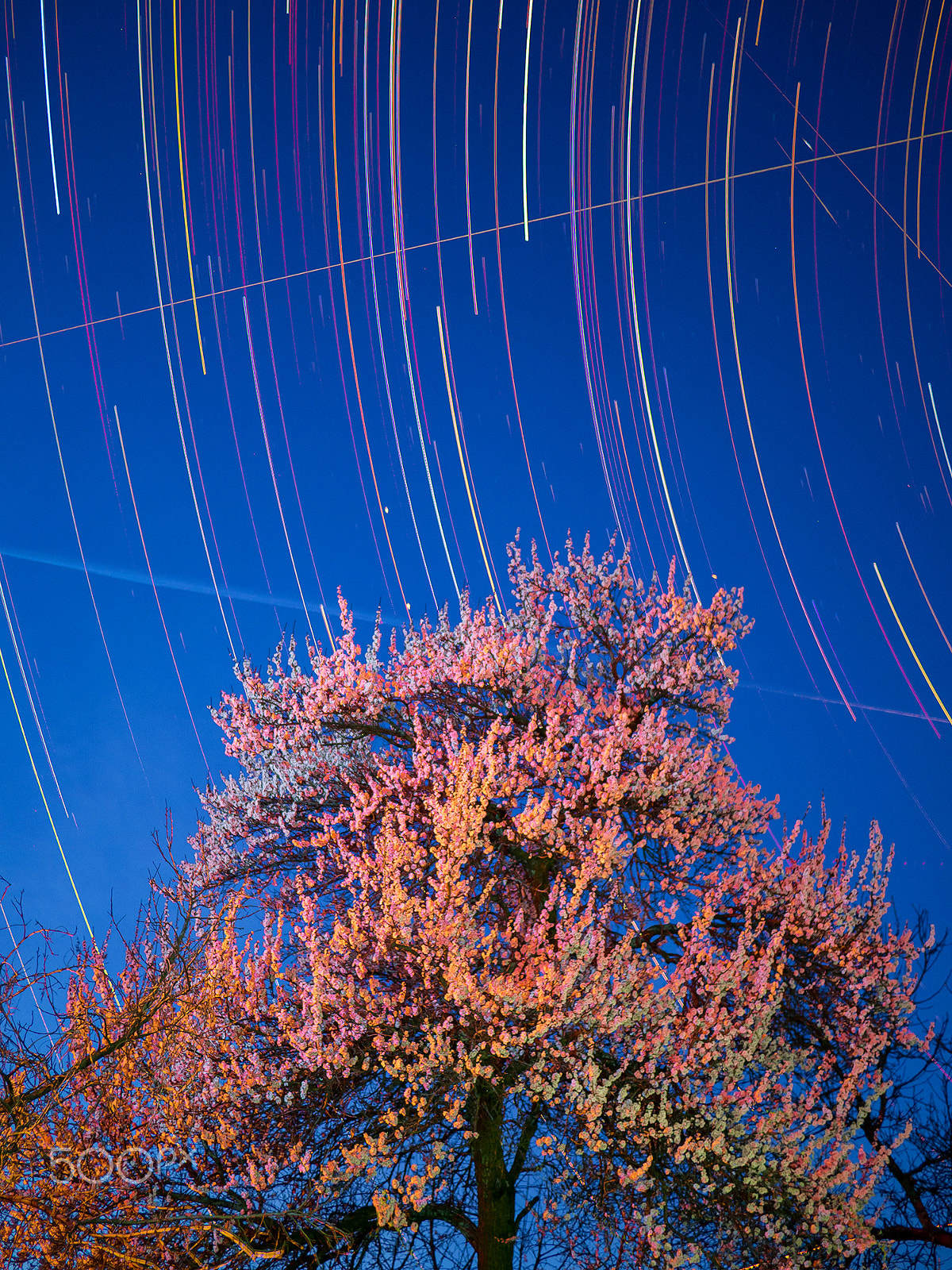 Olympus OM-D E-M10 + Panasonic Lumix G 20mm F1.7 ASPH sample photo. Beauty in the universe and on earth. photography