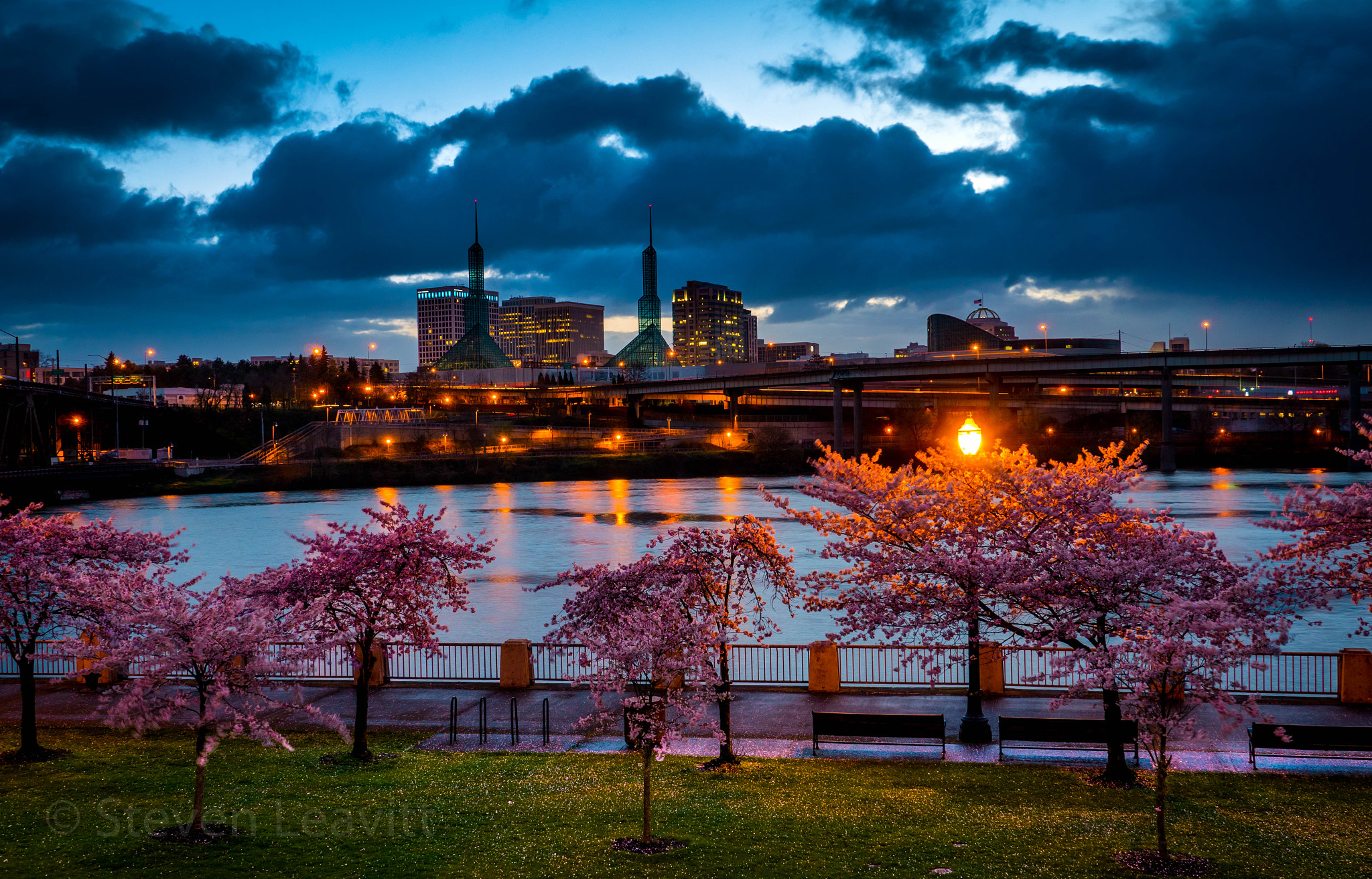 Panasonic Lumix DMC-GX8 sample photo. Wow what an amazing skyline portland has. photography