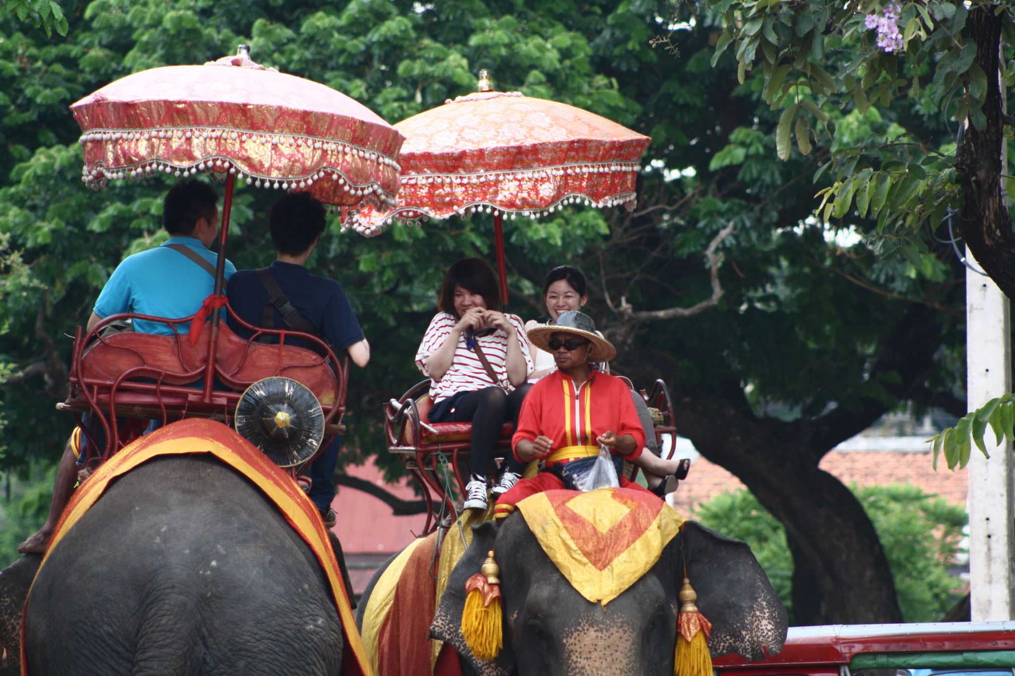 Canon EOS 1000D (EOS Digital Rebel XS / EOS Kiss F) + Canon EF 75-300mm f/4-5.6 USM sample photo. The visitors in ayutthaya photography