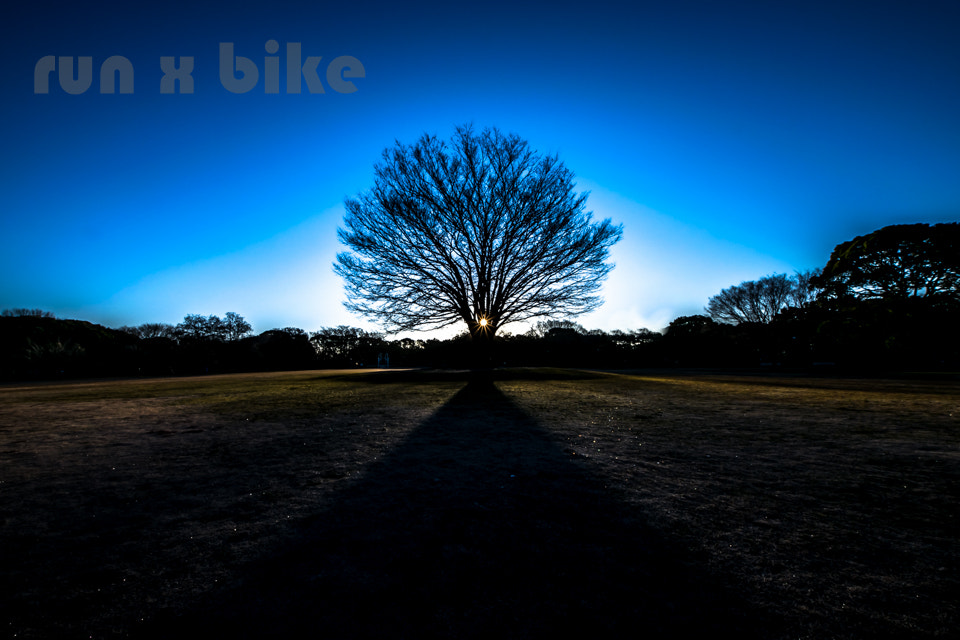 Sigma 8-16mm F4.5-5.6 DC HSM sample photo. The ground of star photography