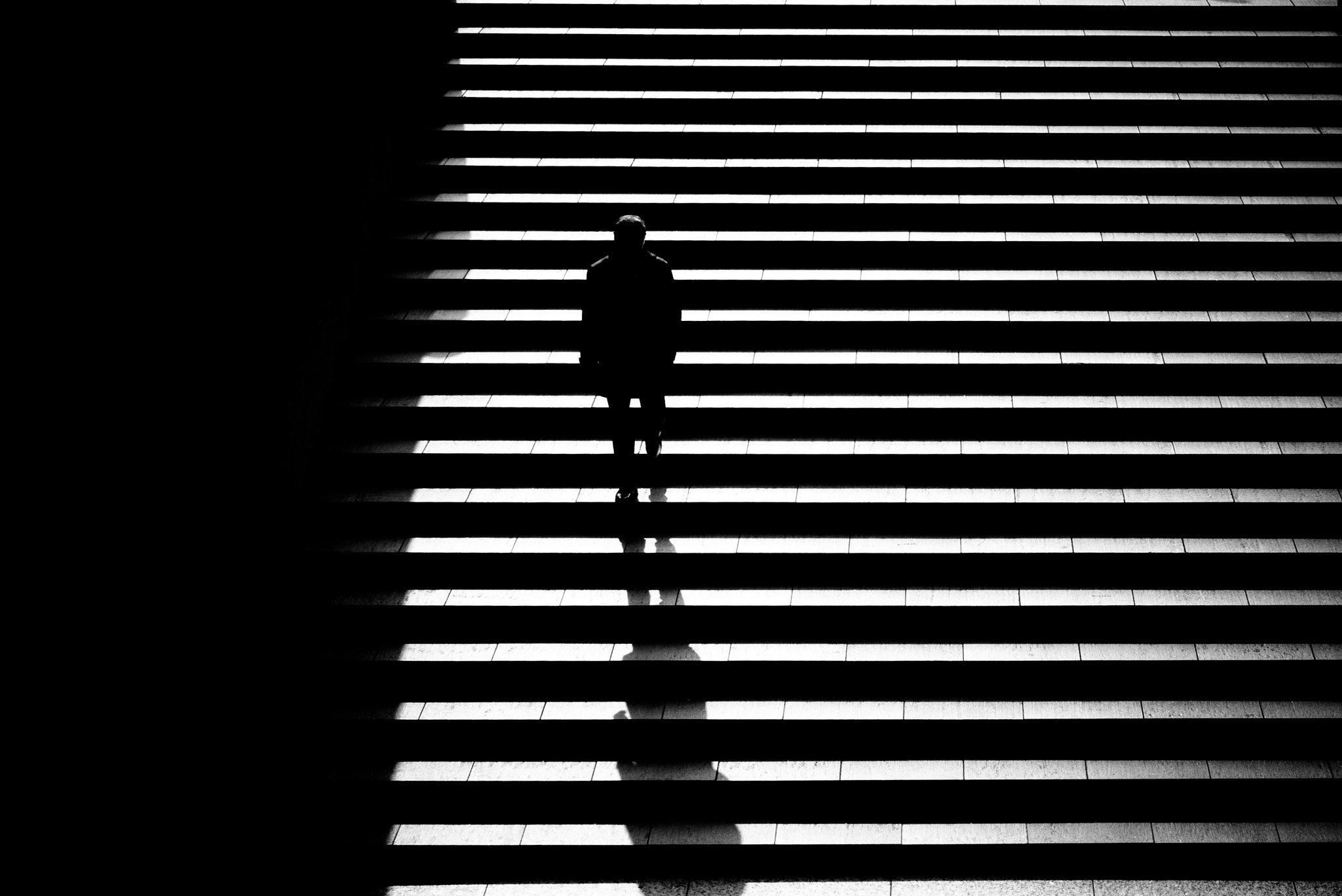 Summicron-M 1:2/35 ASPH. sample photo. Morning sunlight photography