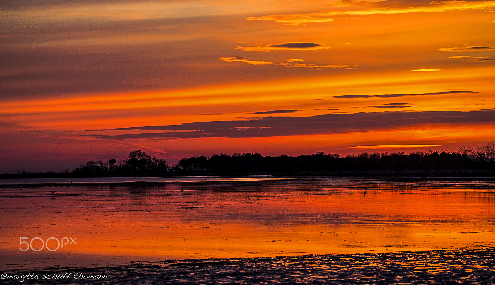Tamron SP 150-600mm F5-6.3 Di VC USD sample photo. The colours of the "after sunset" lagoon of grado photography