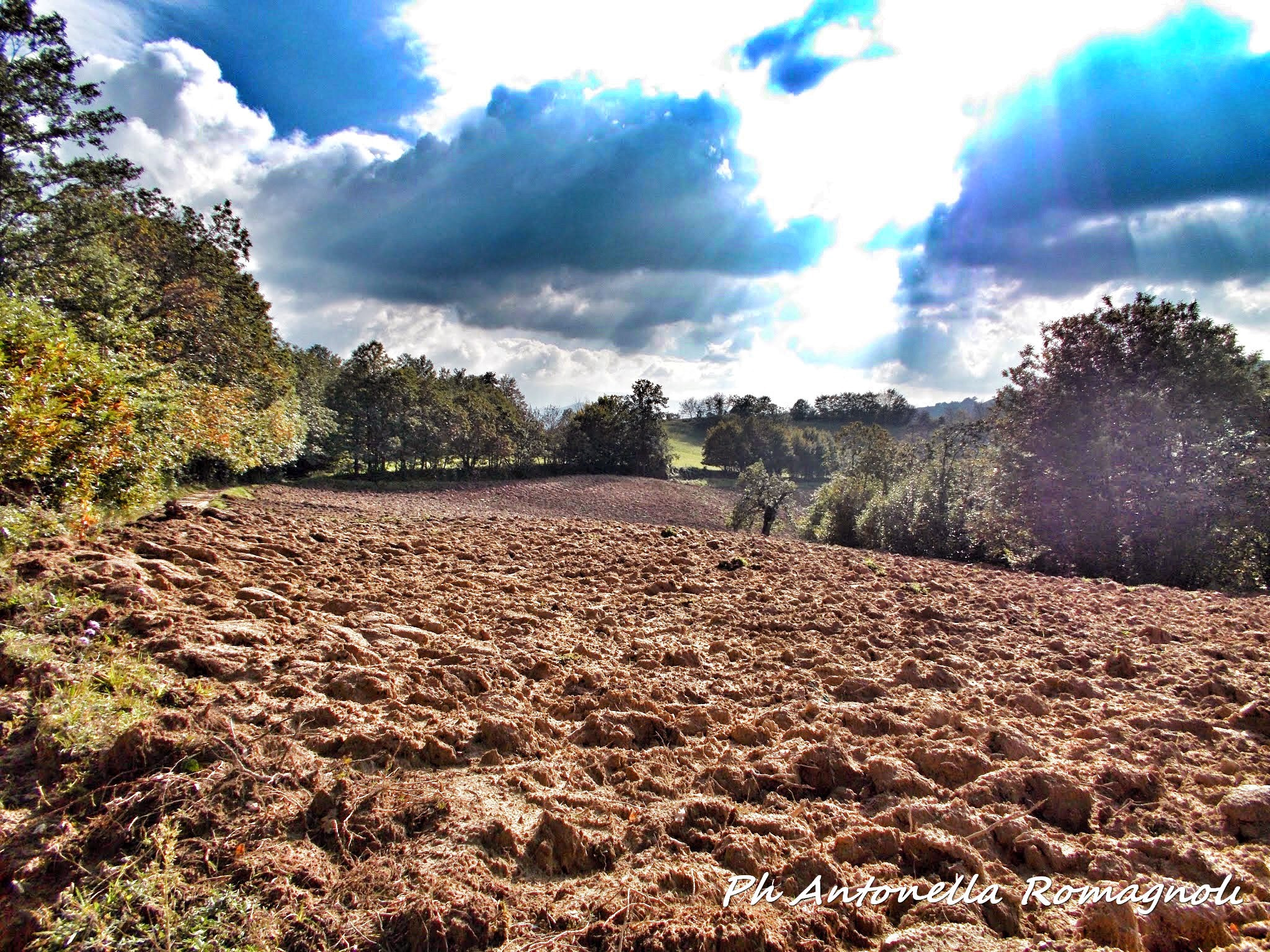 Nikon Coolpix L26 sample photo. La campagna appena ieri photography