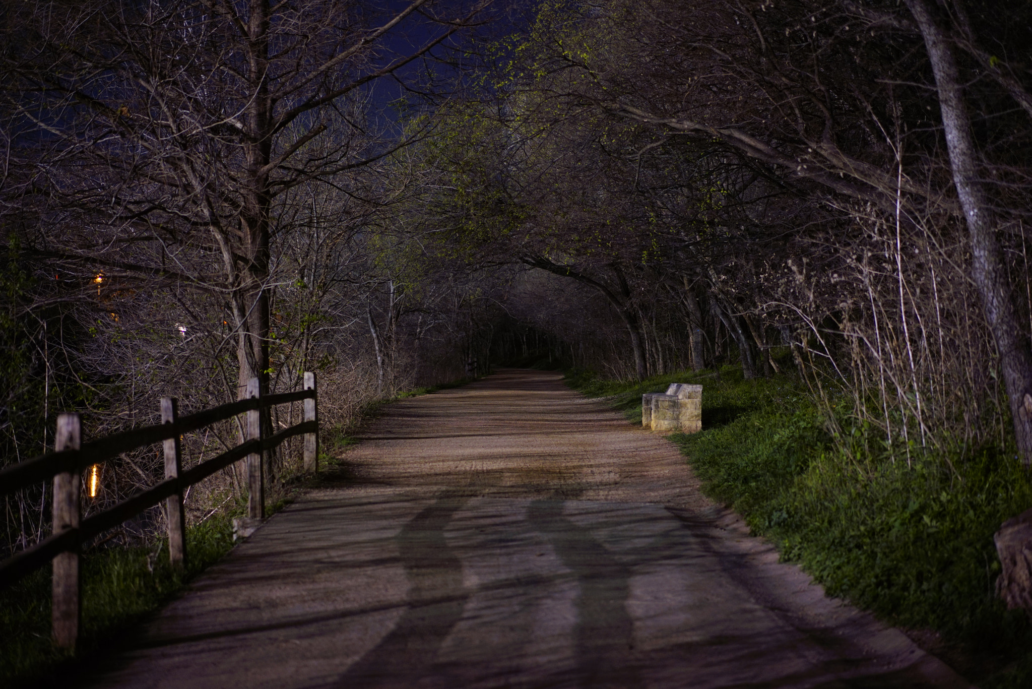 Sony a7R + Sony Sonnar T* FE 55mm F1.8 ZA sample photo. Path to nowhere photography