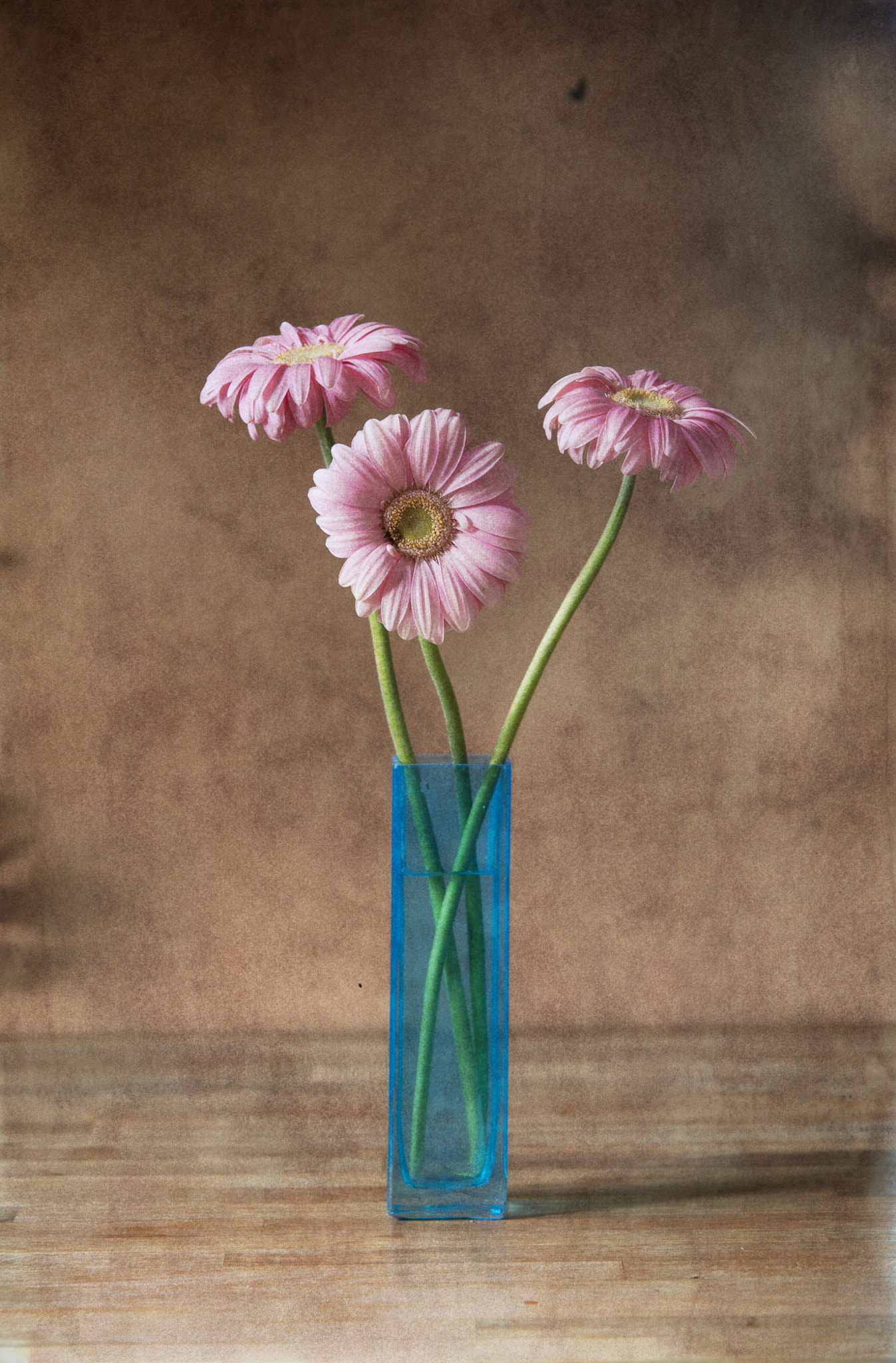 Sigma 70-200mm F2.8 EX DG OS HSM sample photo. Three flowers photography