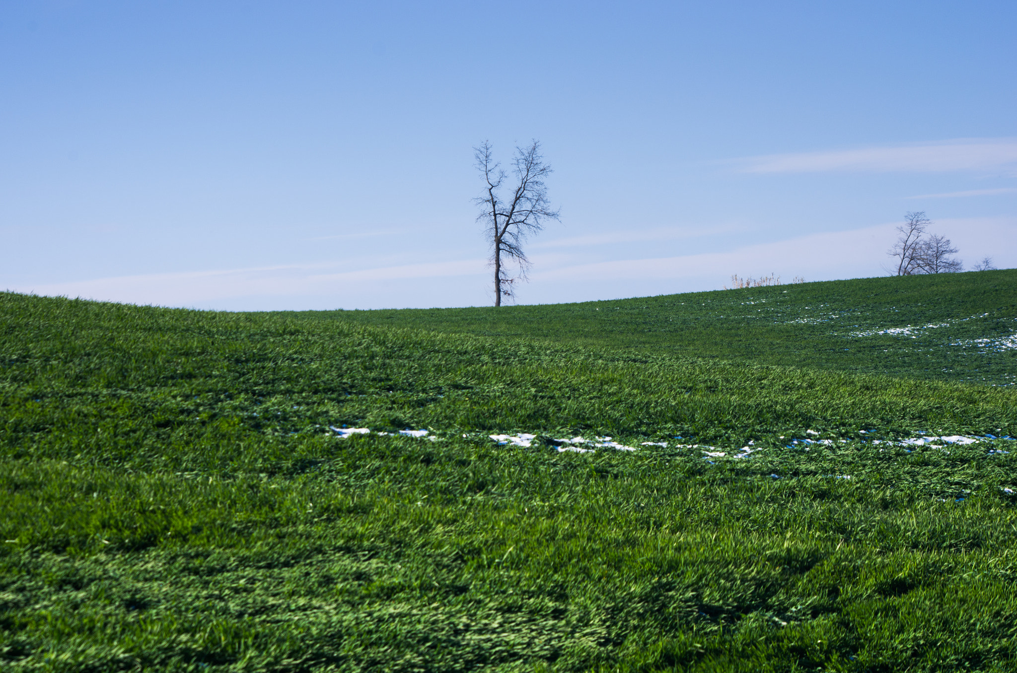 smc PENTAX-DA L 55-300mm F4-5.8 ED sample photo. Blue and green photography