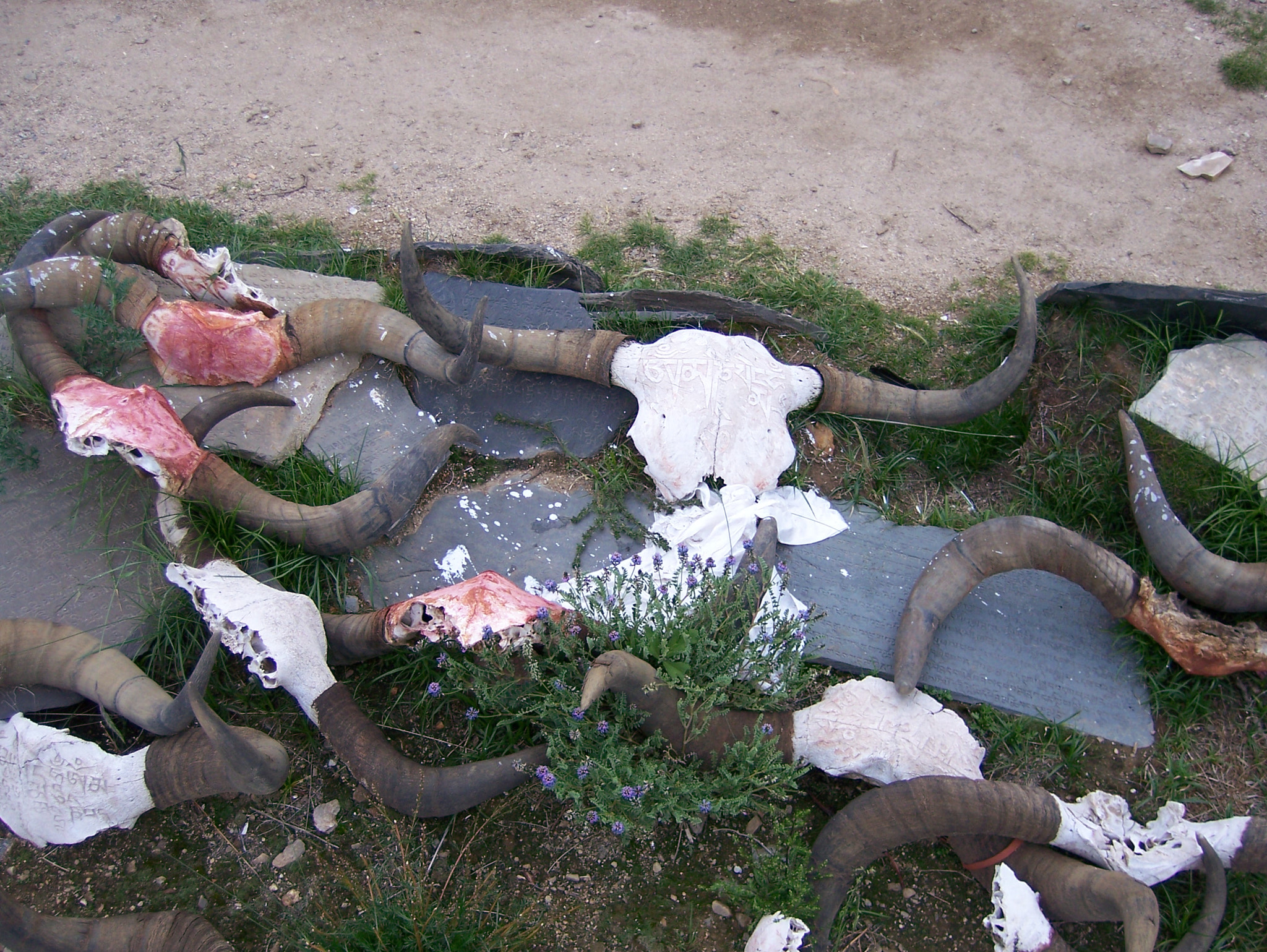 Kodak V603 ZOOM DIGITAL CAMERA sample photo. Memorial for celestial burial @ tibet photography