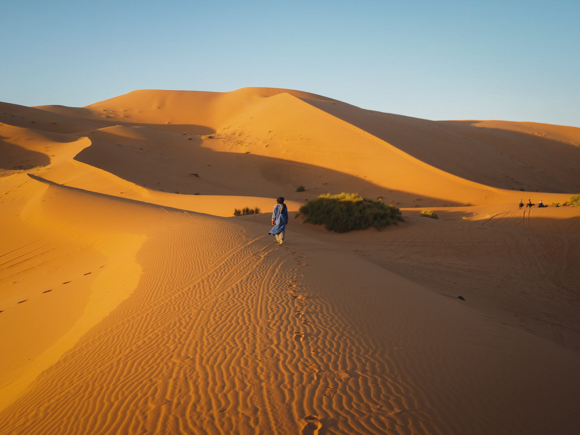 Olympus OM-D E-M1 + Olympus M.Zuiko Digital 17mm F1.8 sample photo. Just walk your own path // erg chebbi, morocoo photography