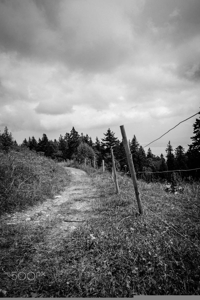 Canon EOS 1000D (EOS Digital Rebel XS / EOS Kiss F) sample photo. Around the bend photography