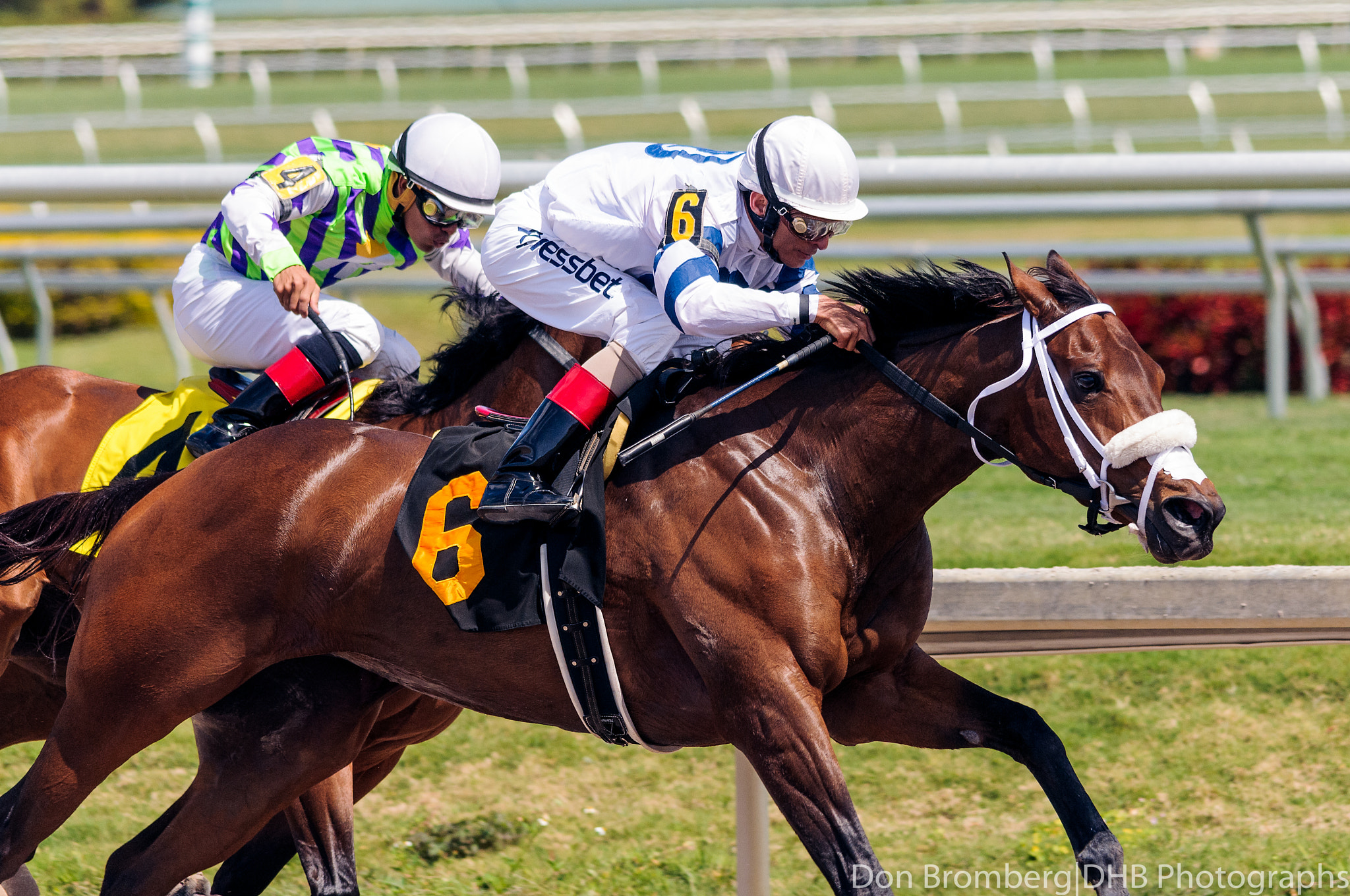 Sigma 150-500mm F5-6.3 DG OS HSM sample photo. Battling down the stretch photography