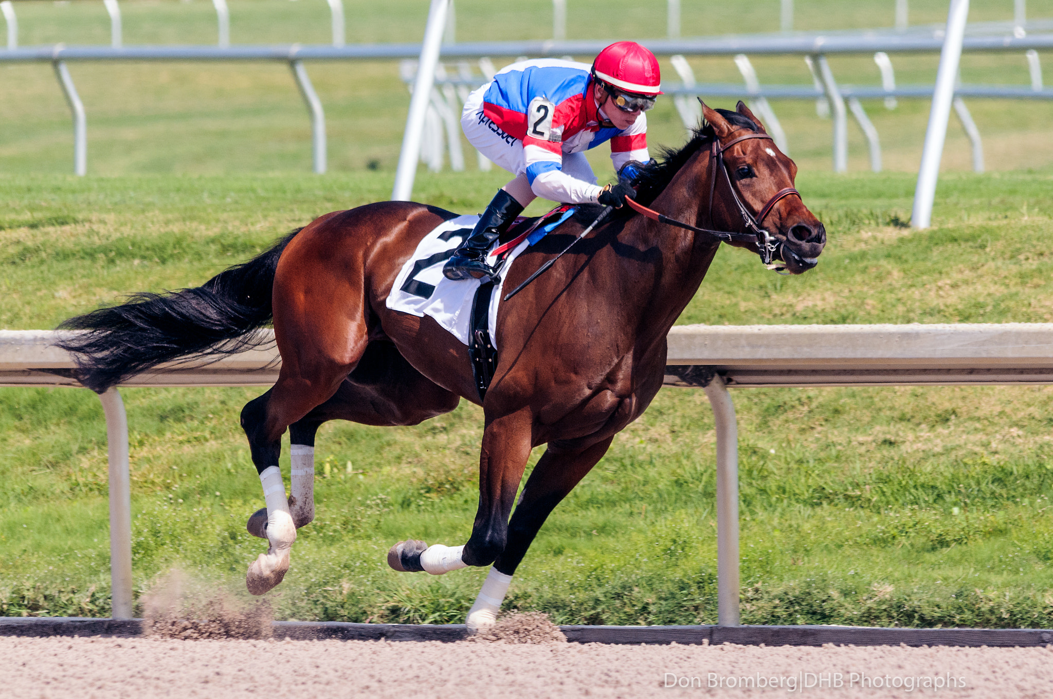 Sigma 150-500mm F5-6.3 DG OS HSM sample photo. For the win photography