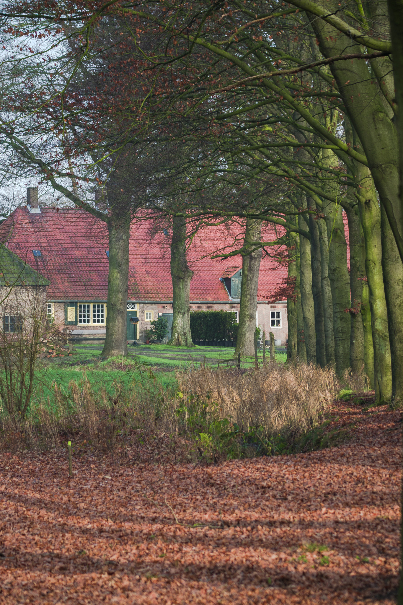 Sony ILCA-77M2 + Sigma 30mm F1.4 EX DC HSM sample photo. Boerderij photography