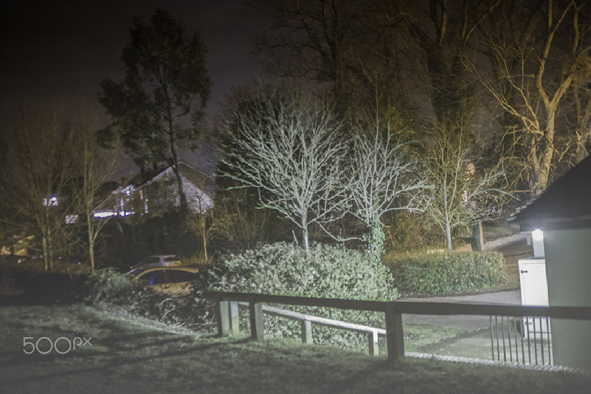 Canon EF 35-135mm f/4-5.6 USM sample photo. Newnham photography