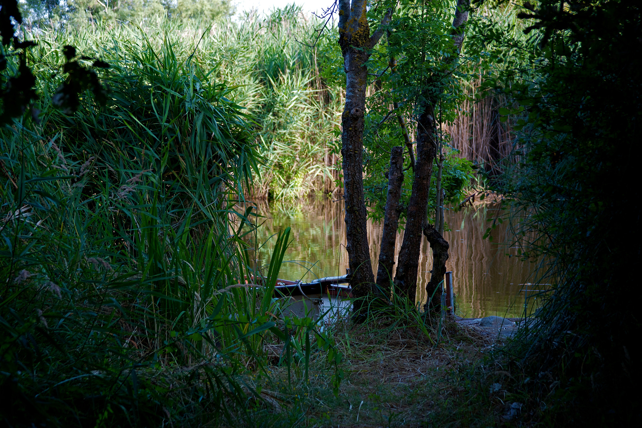 Canon EF 28-135mm F3.5-5.6 IS USM sample photo. Corsica photography