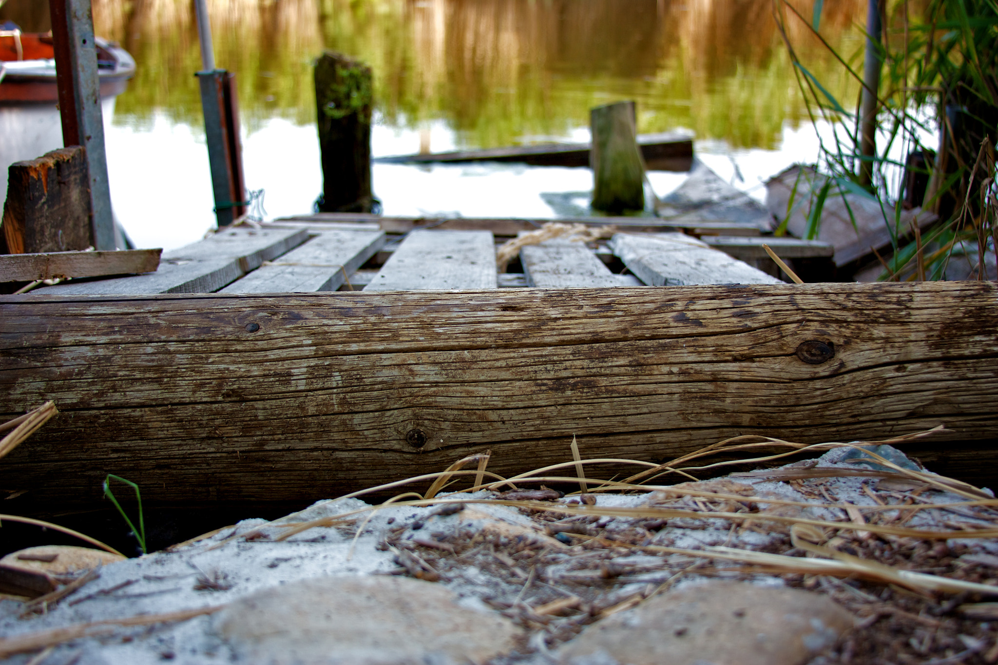 Canon EF 28-135mm F3.5-5.6 IS USM sample photo. Corsica photography